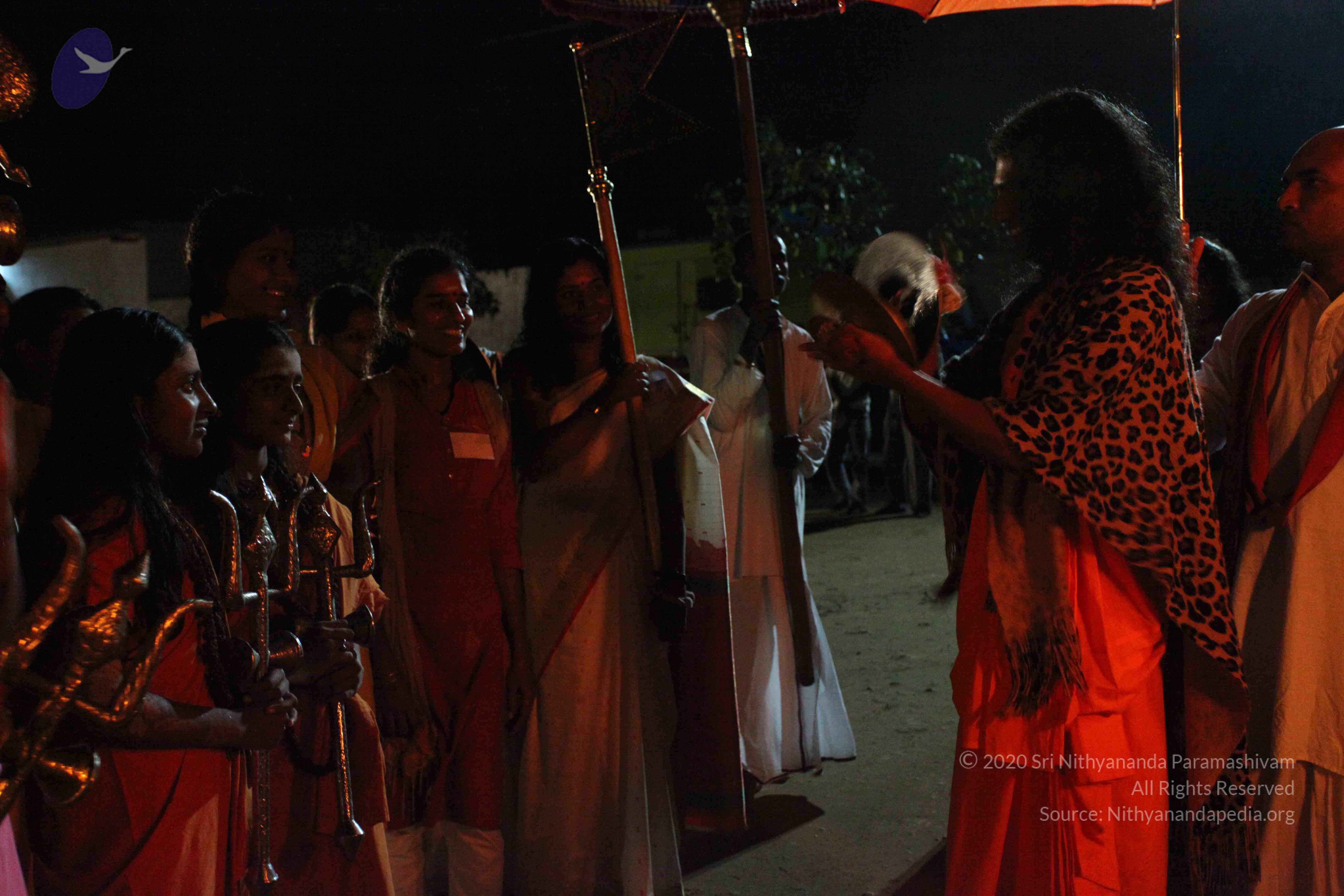 20101119_Photo_1133_IMG_8394_CMP_WM