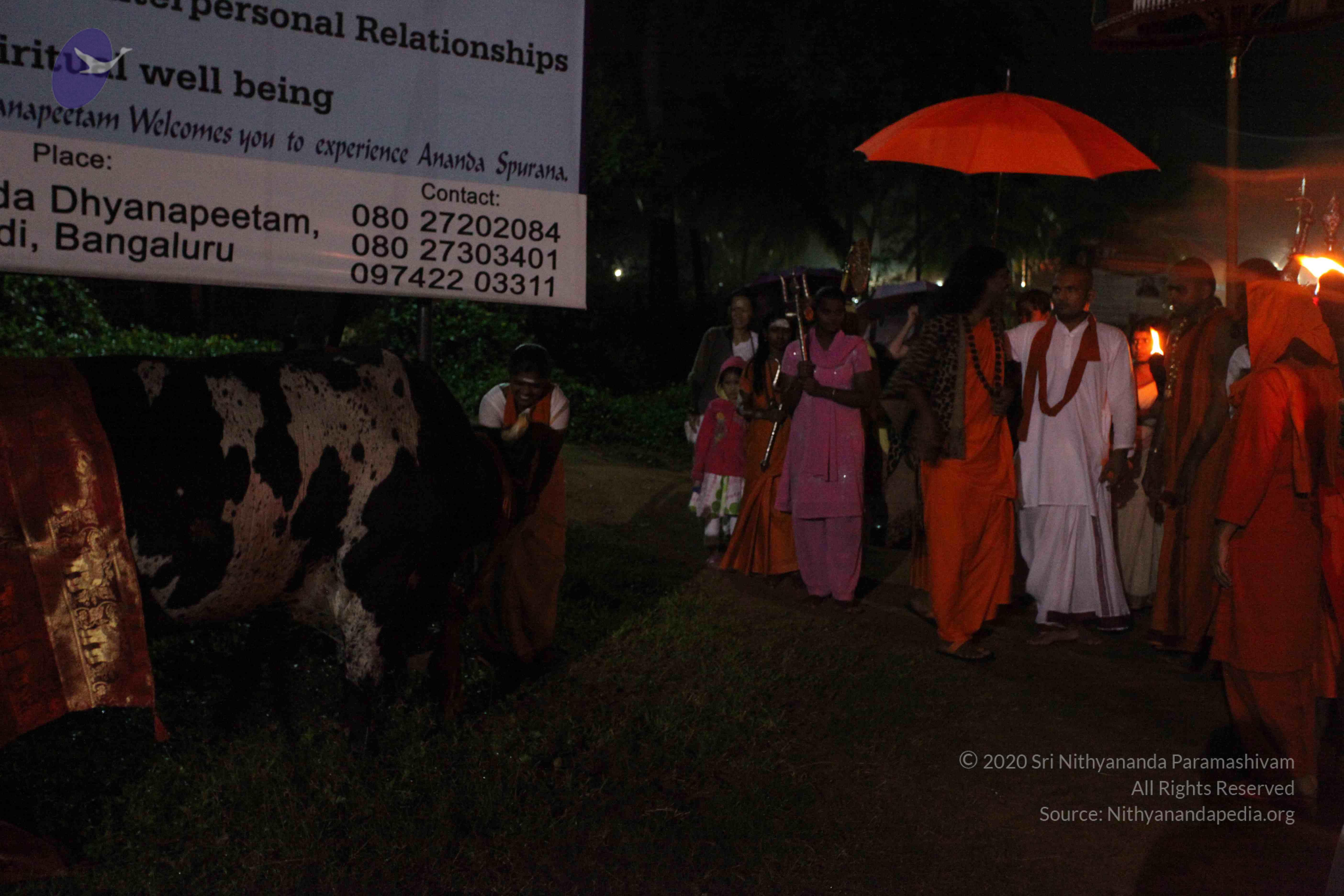 20101119_Photo_1165_IMG_8140_CMP_WM