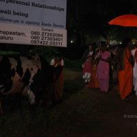 20101119_Photo_1165_IMG_8140_CMP_WM