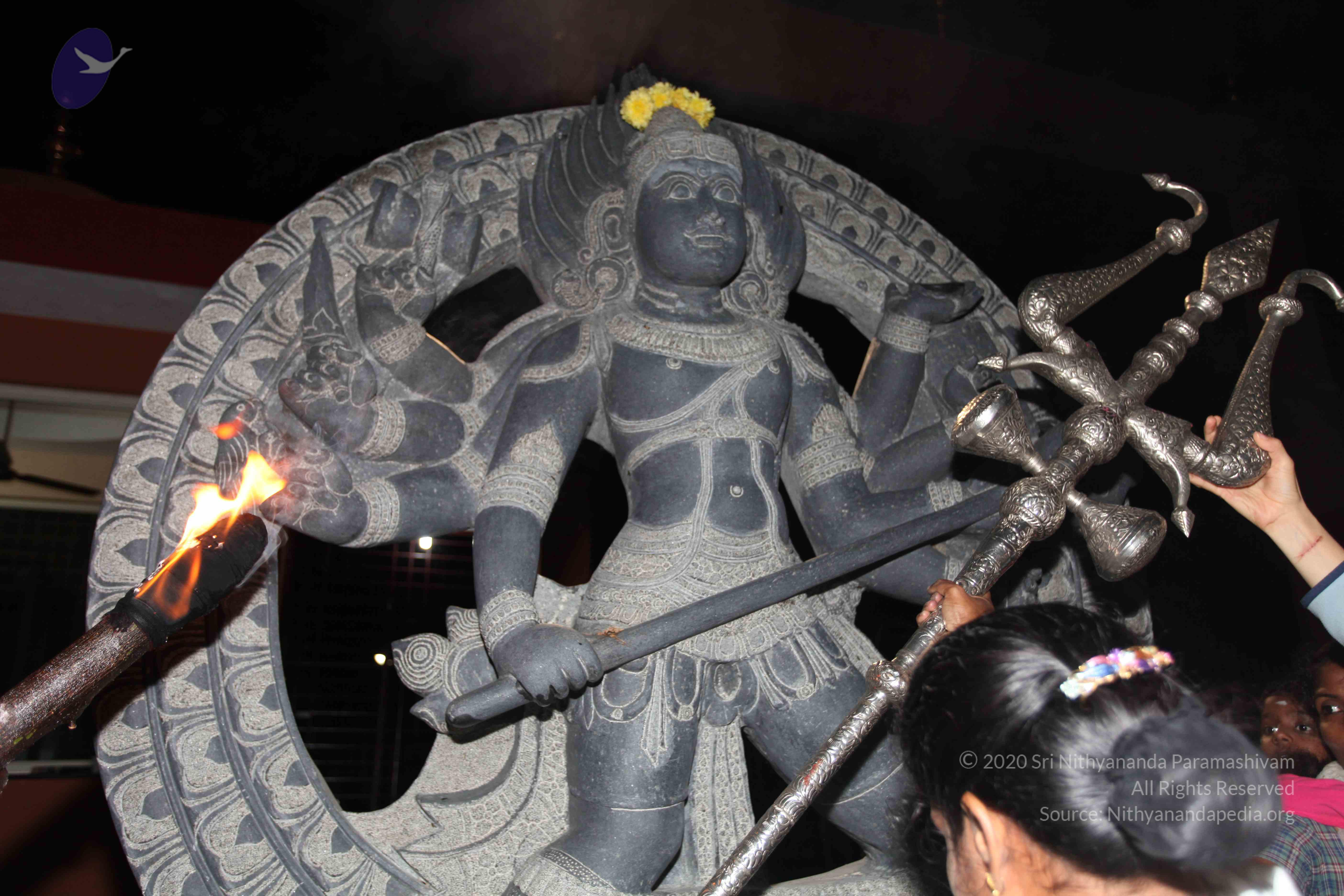 20101119_Photo_1195_IMG_8592_CMP_WM