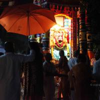 20101119_Photo_1201_IMG_8166_CMP_WM