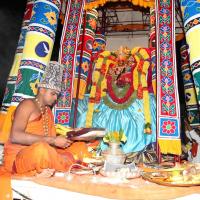 20101119_Photo_1209_IMG_8516_CMP_WM