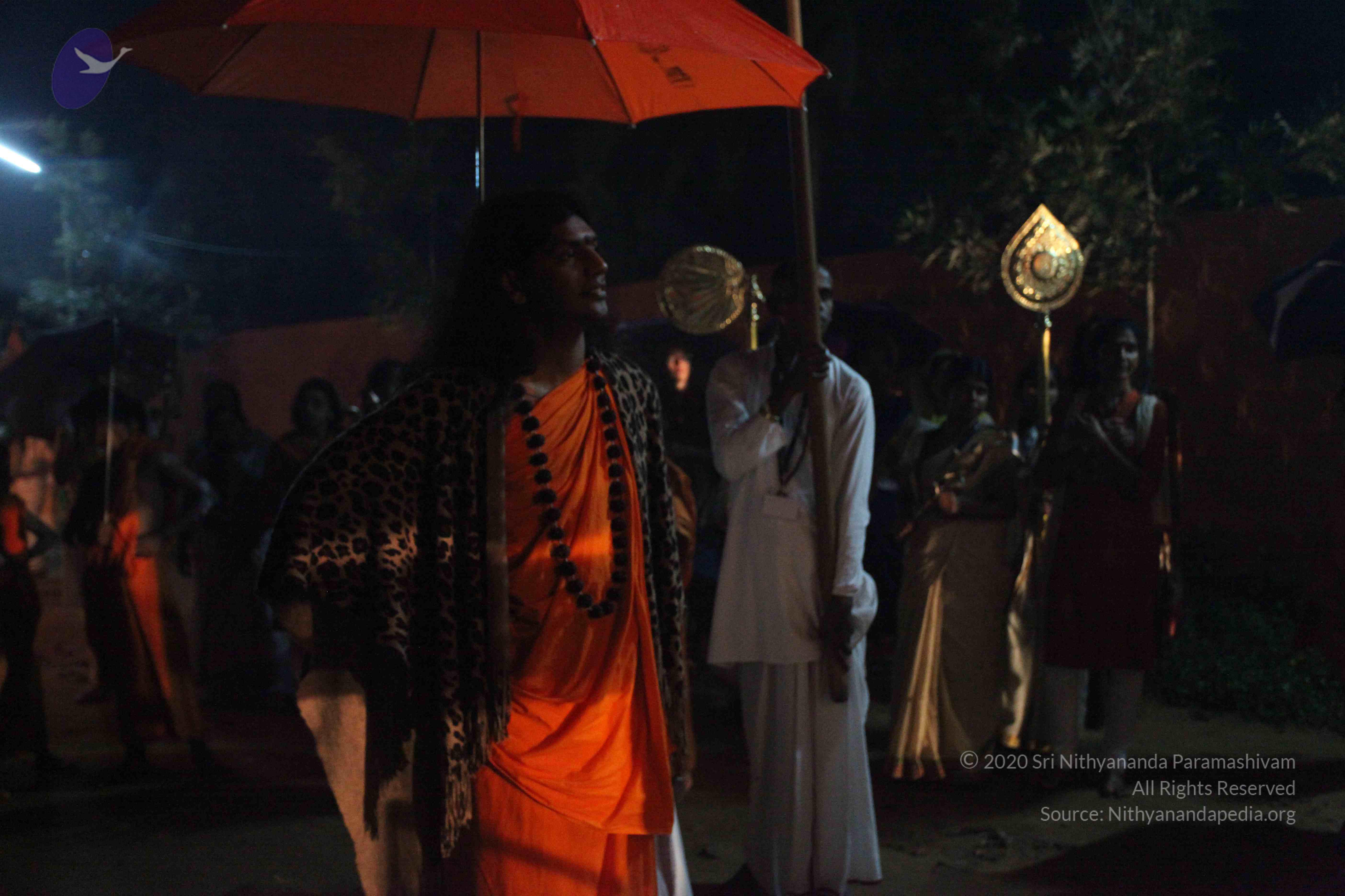 20101119_Photo_1215_IMG_8180_CMP_WM