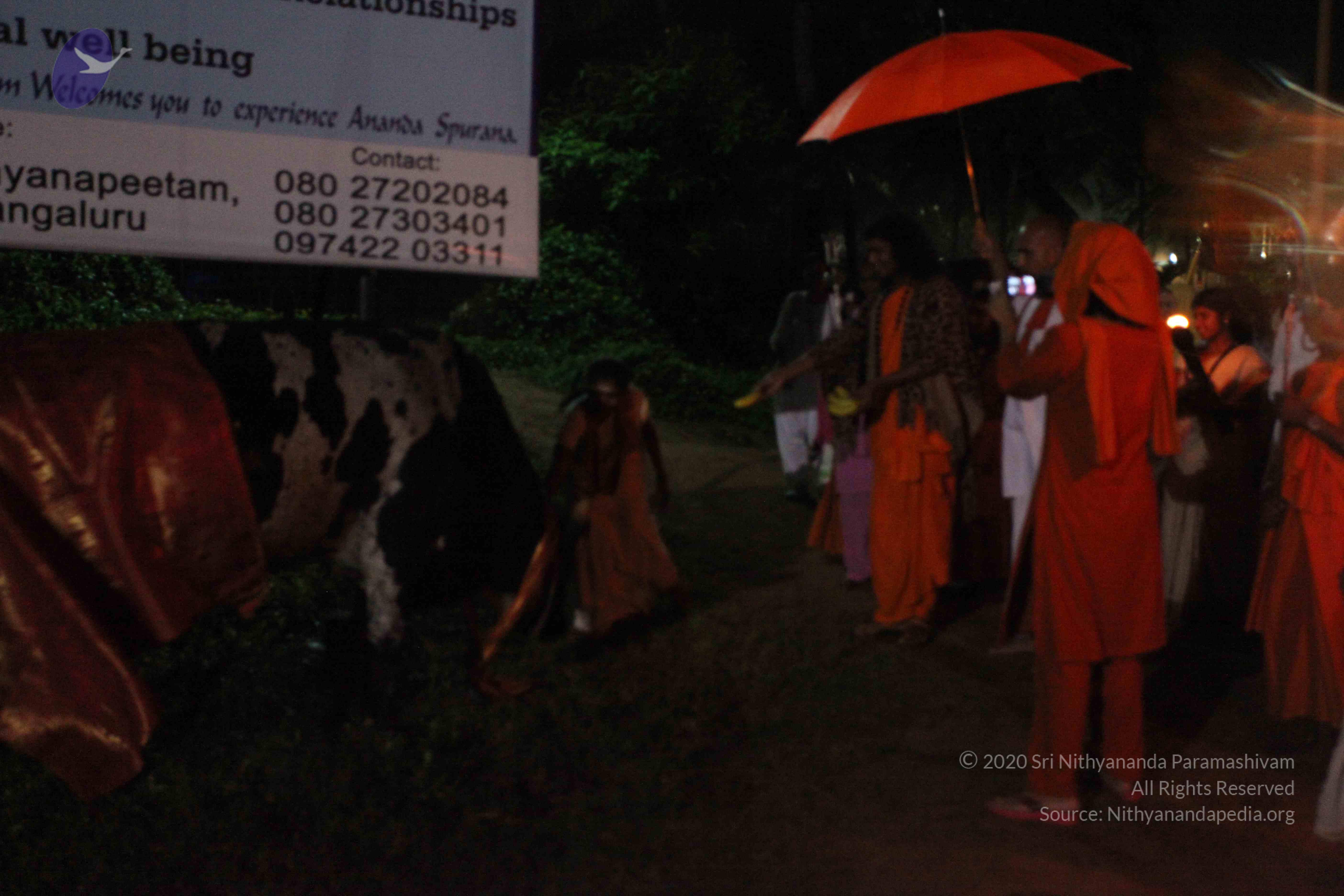 20101119_Photo_1217_IMG_8136_CMP_WM