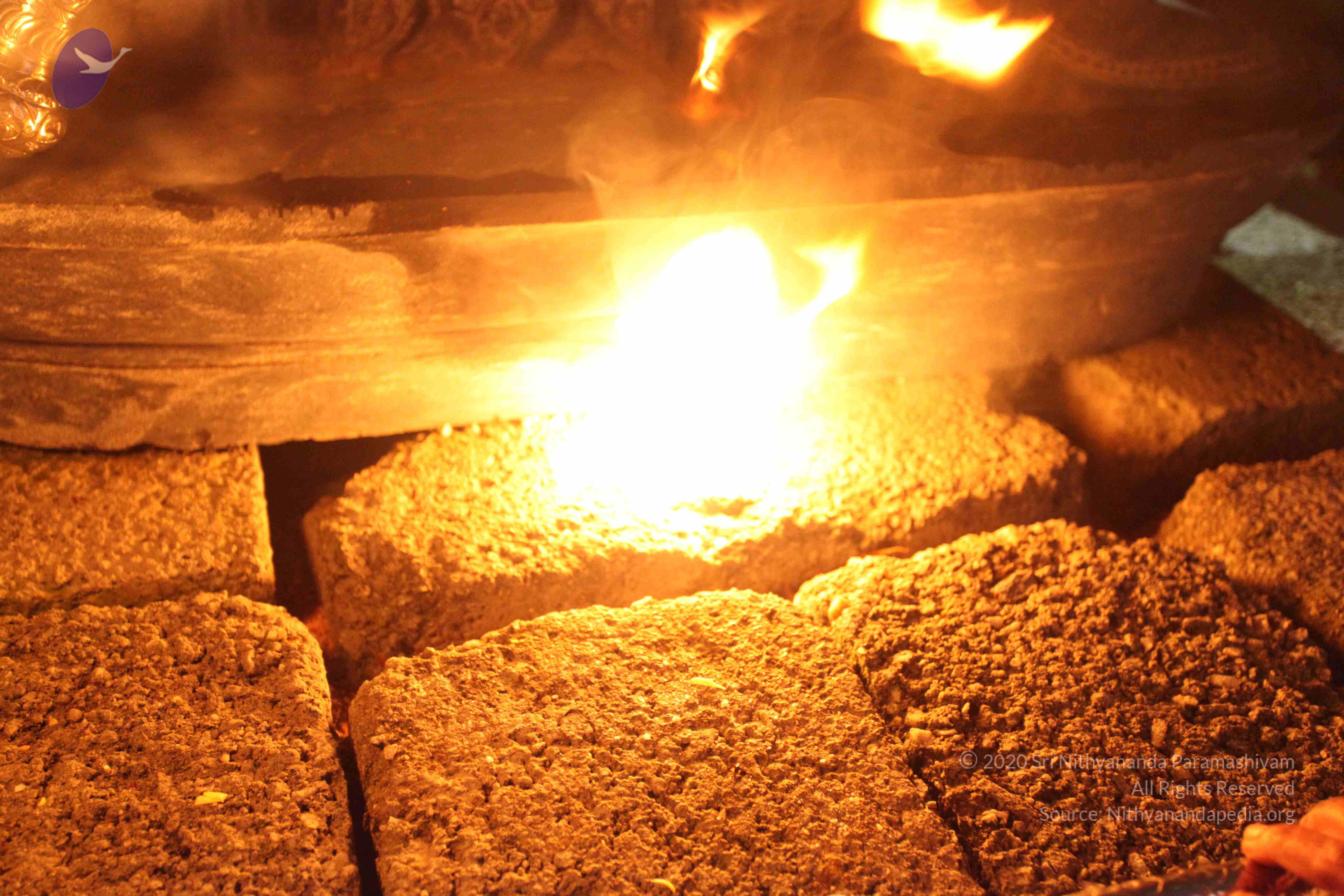 20101119_Photo_1220_IMG_8601_CMP_WM