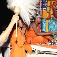 20101119_Photo_1242_IMG_8507_CMP_WM