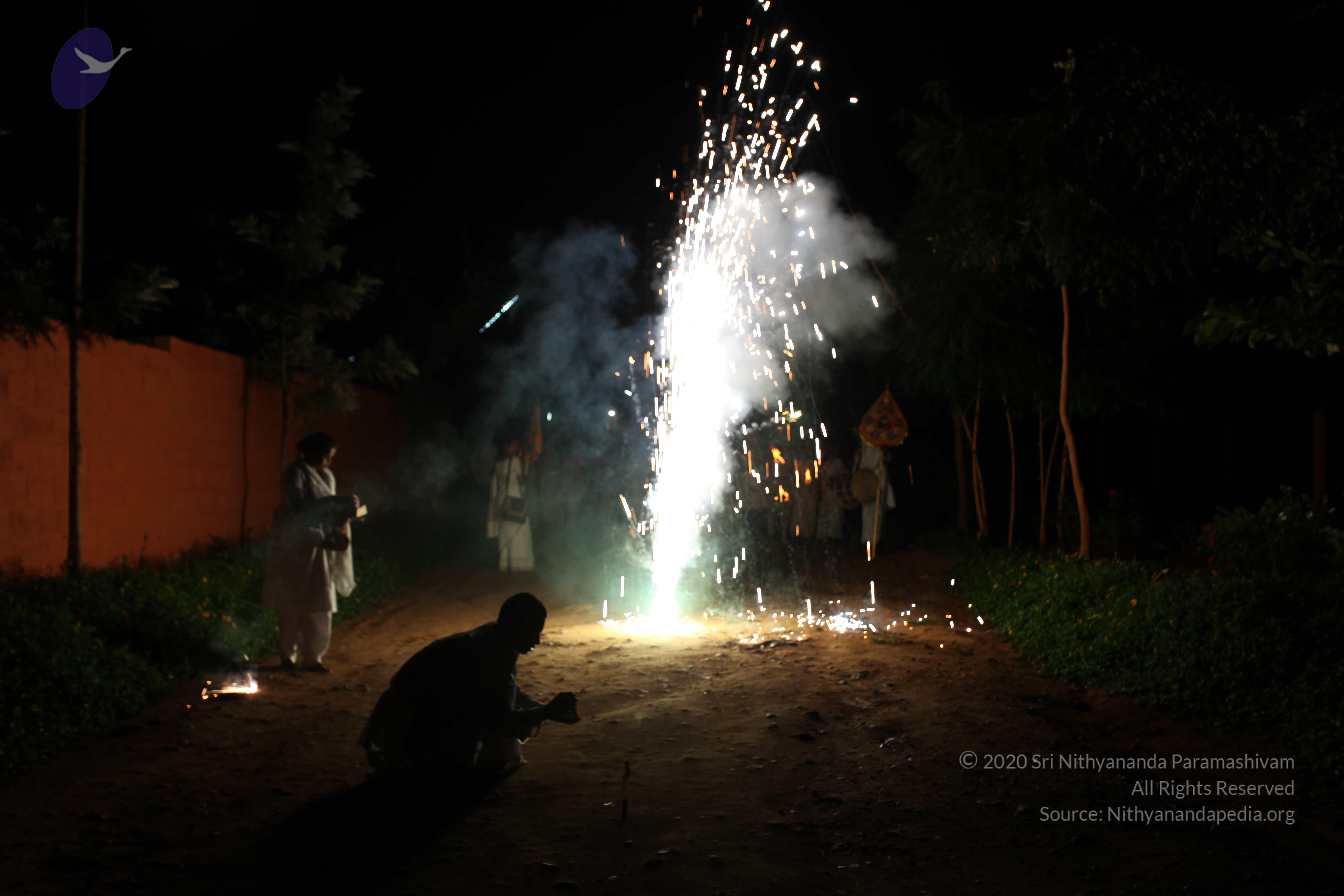 20101119_Photo_1257_IMG_8196_CMP_WM