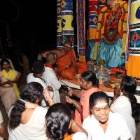 20101119_Photo_1264_IMG_8761_CMP_WM