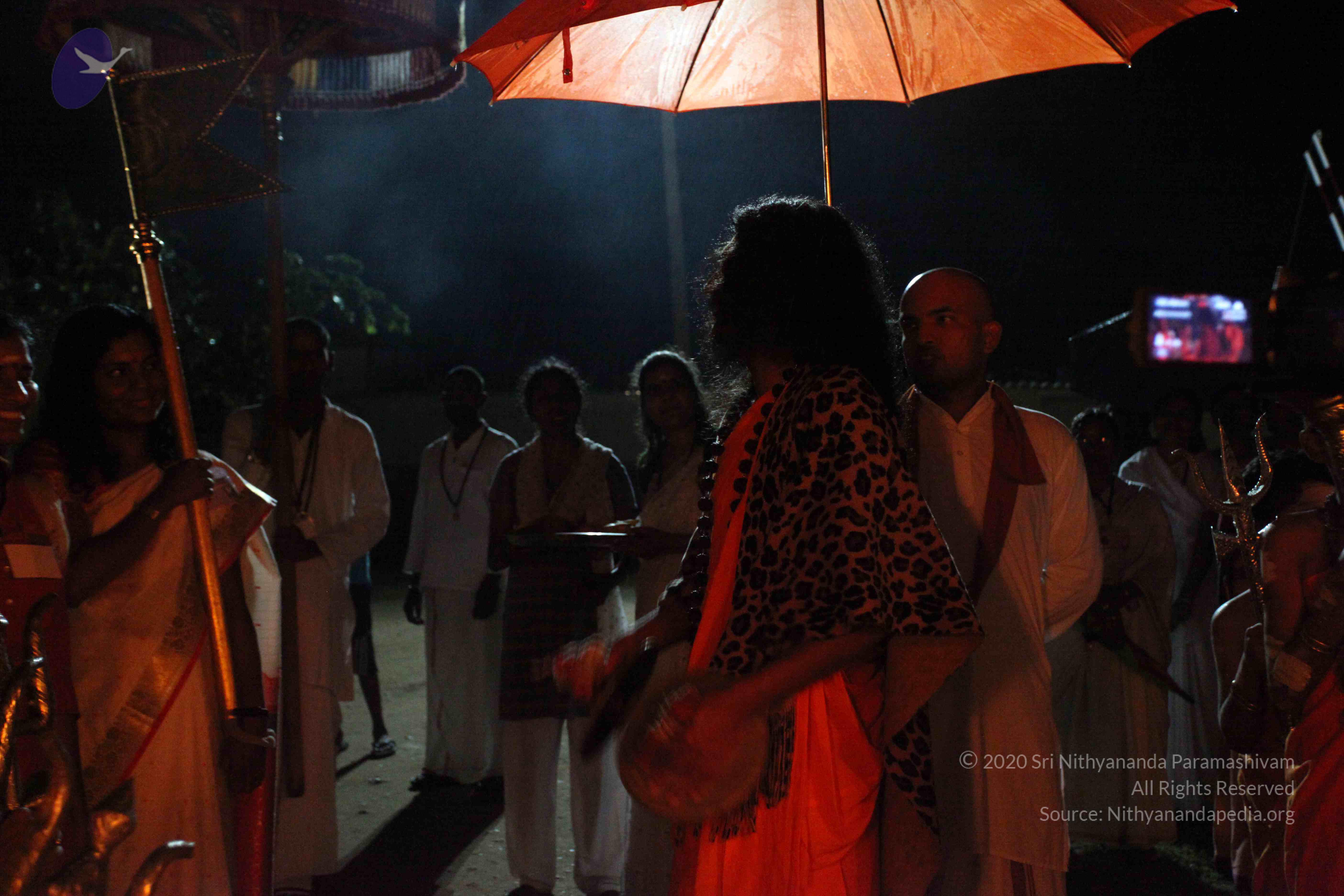 20101119_Photo_1278_IMG_8398_CMP_WM