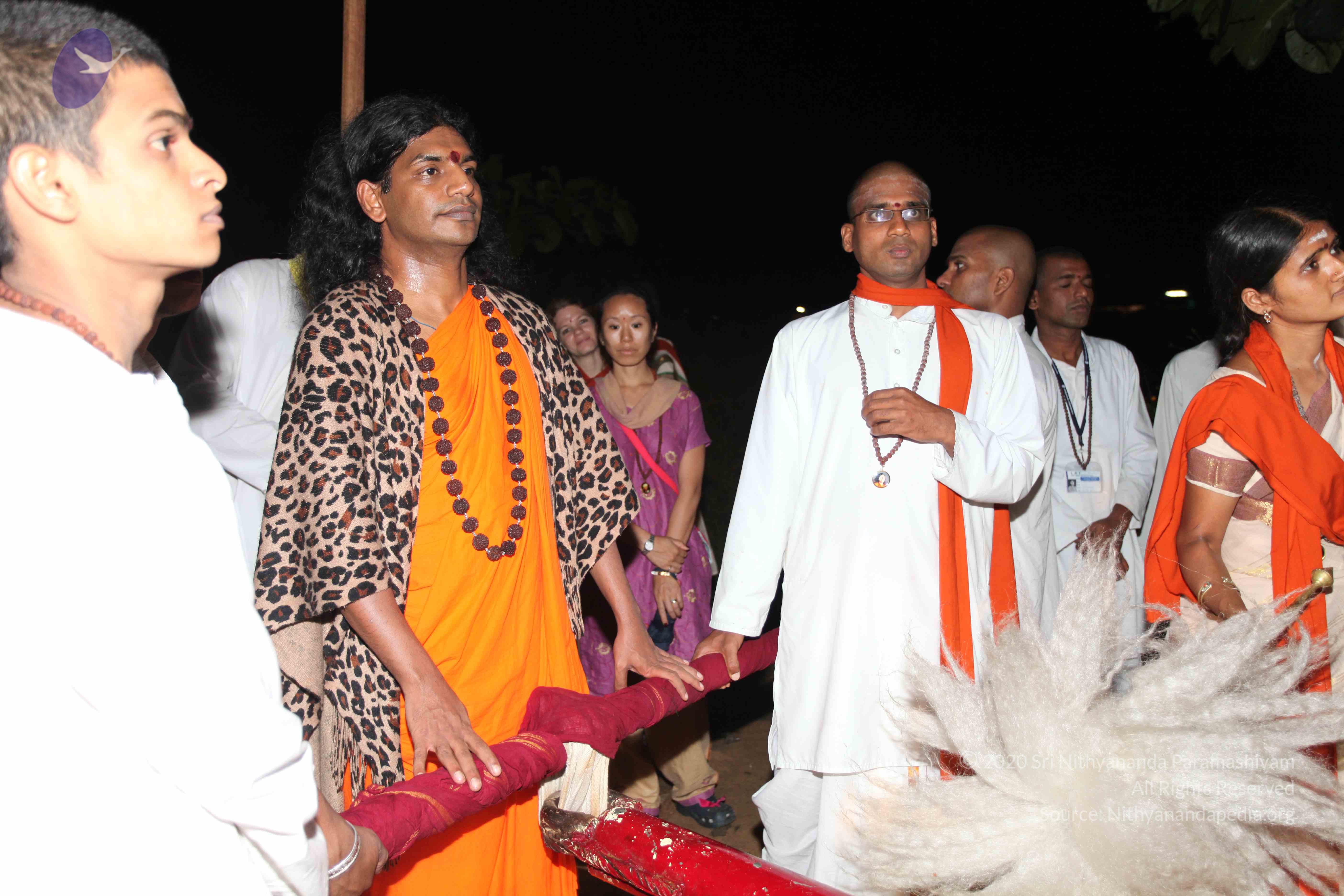 20101119_Photo_1292_IMG_8449_CMP_WM