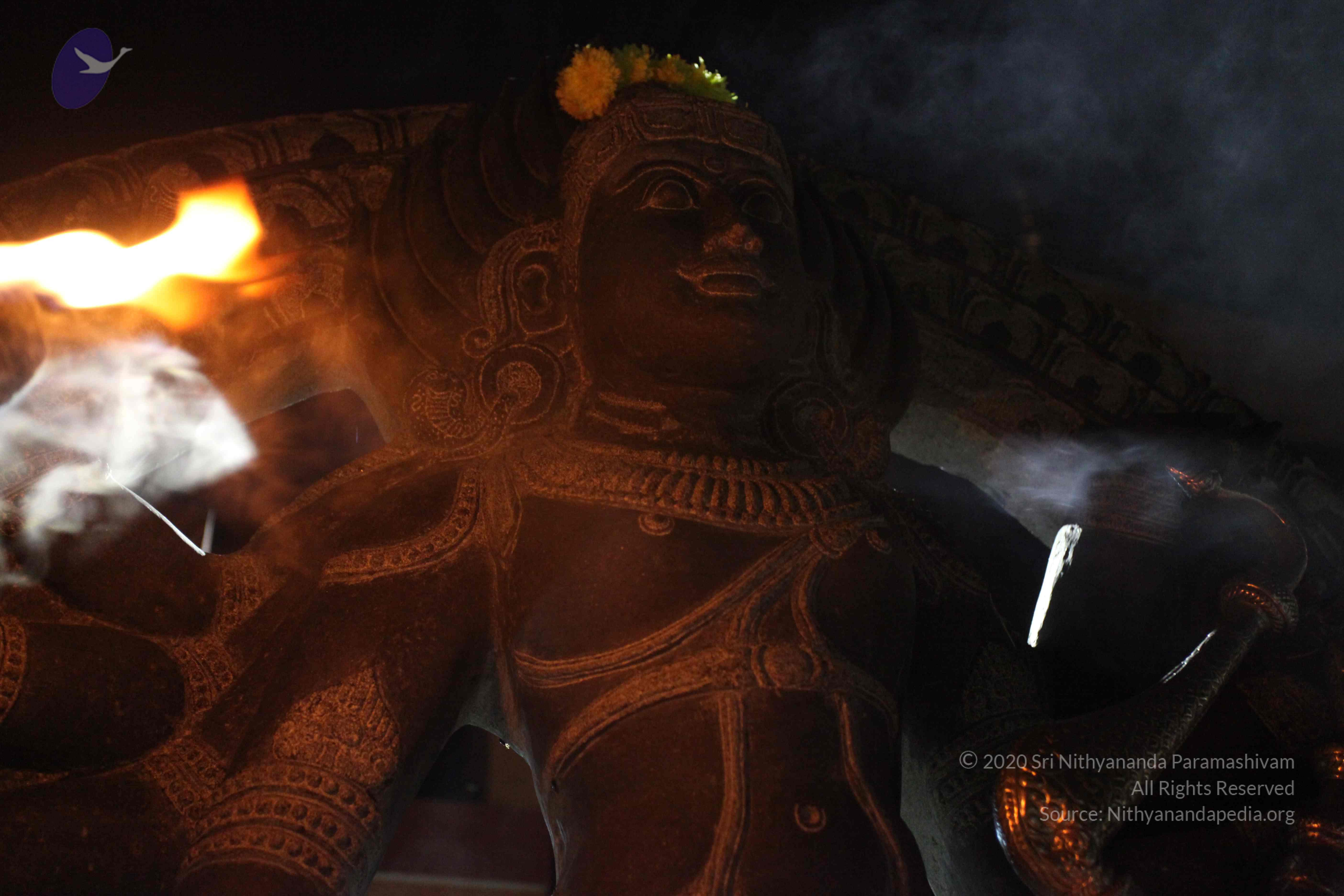 20101119_Photo_1305_IMG_8598_CMP_WM