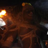 20101119_Photo_1305_IMG_8598_CMP_WM