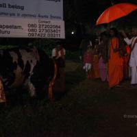 20101119_Photo_1316_IMG_8139_CMP_WM