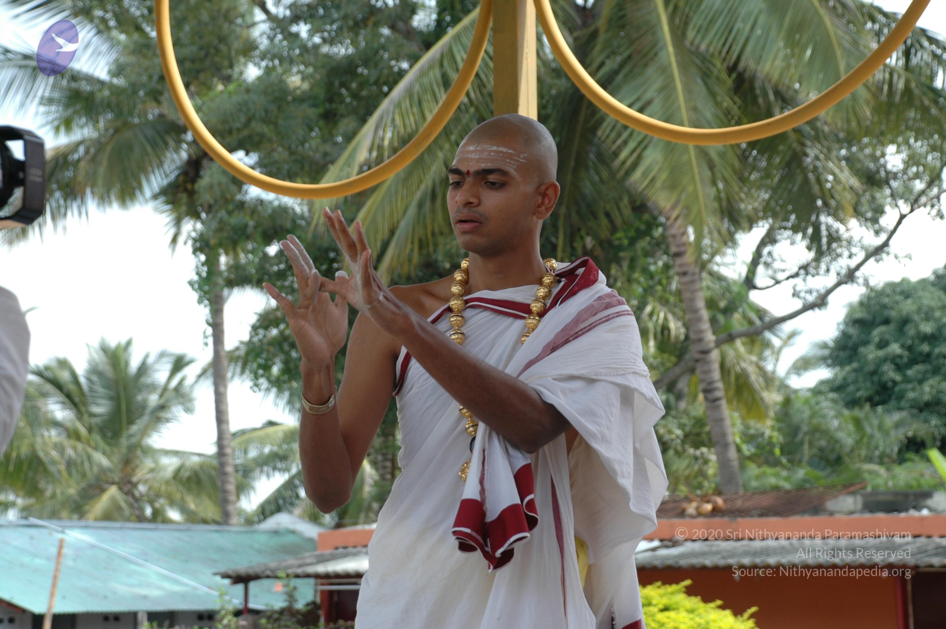 20101005_Photo_1020_DSC_7884_CMP_WM