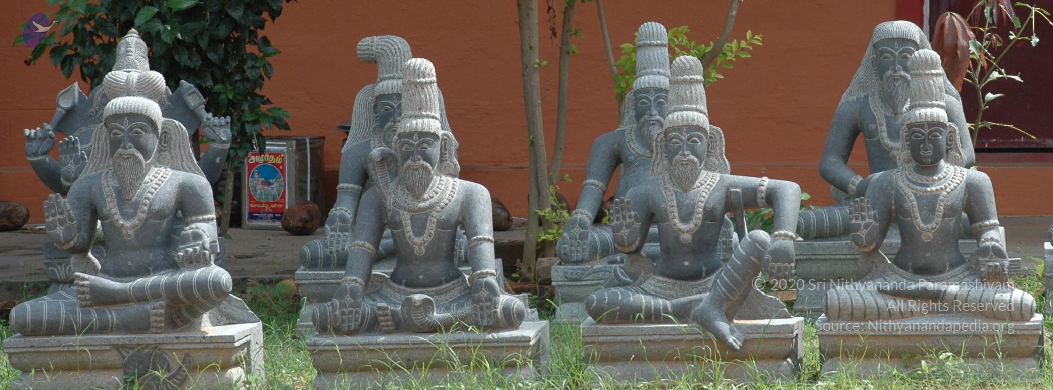 20101005_Photo_1024_DSC_7850_CMP_WM