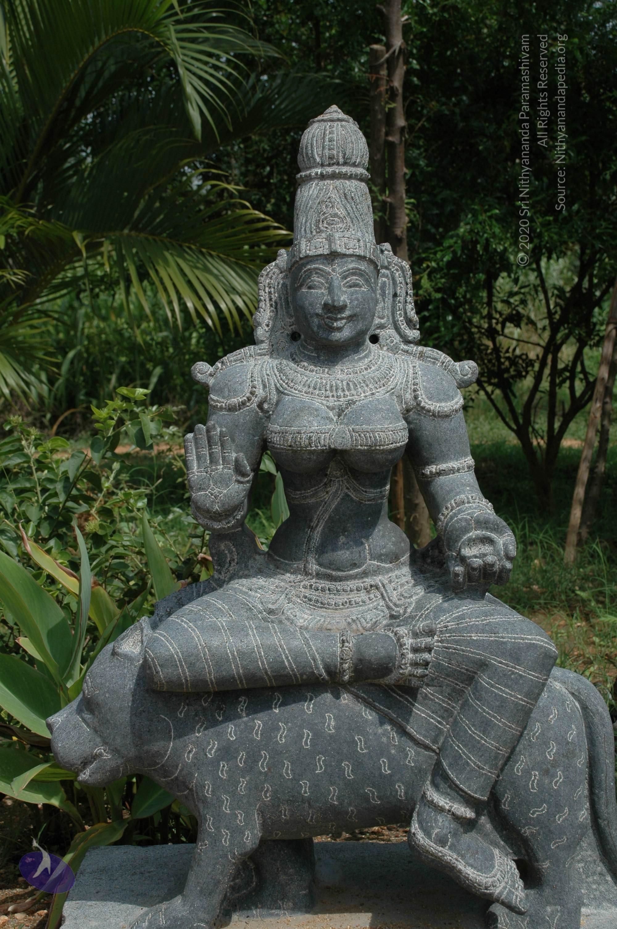 20101005_Photo_1032_DSC_7849_CMP_WM