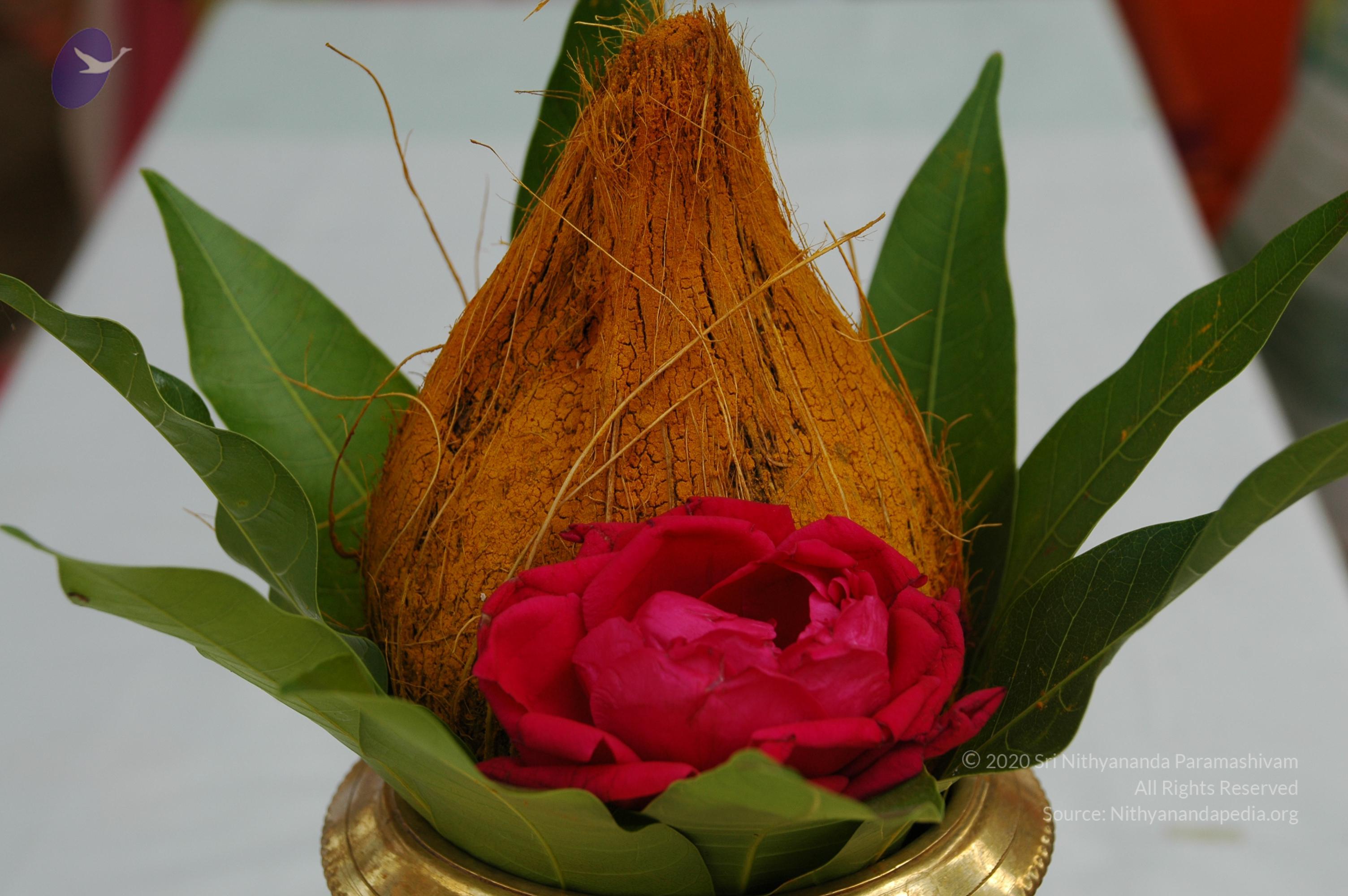 20101005_Photo_1049_DSC_7873_CMP_WM