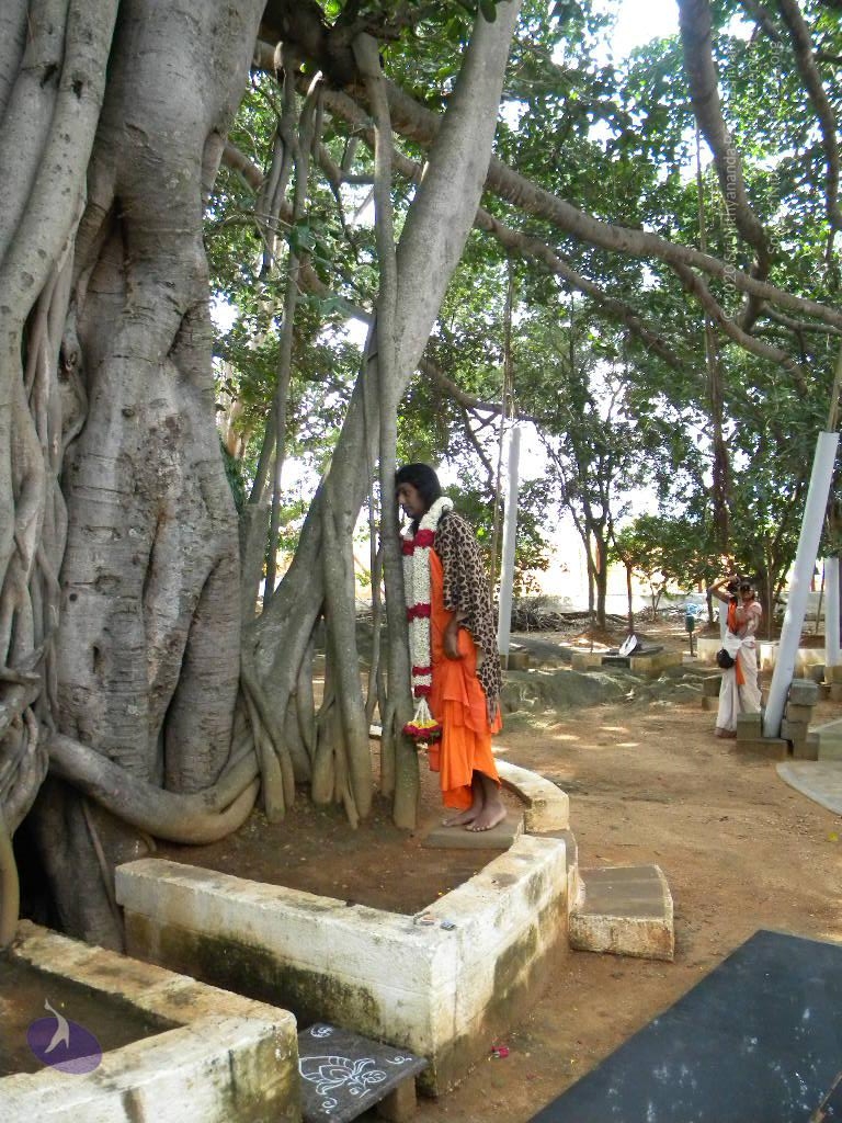 20101005_Photo_1053_DSCN4752_CMP_WM