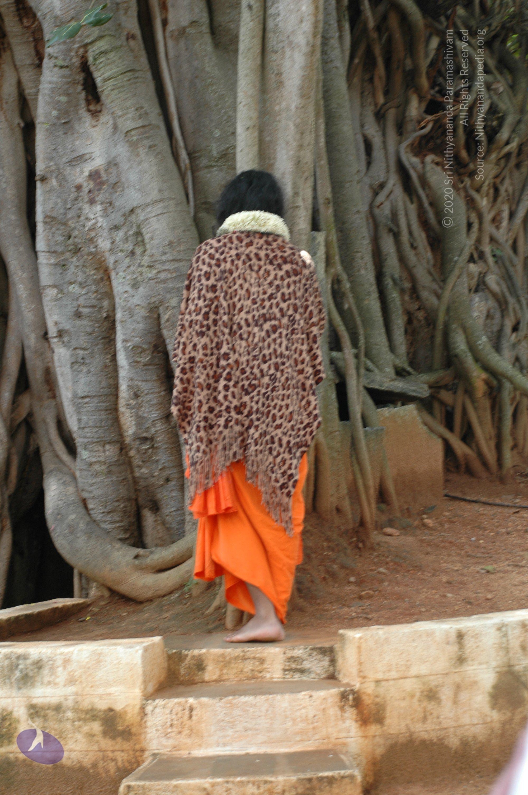 20101005_Photo_1055_DSC_7919_CMP_WM