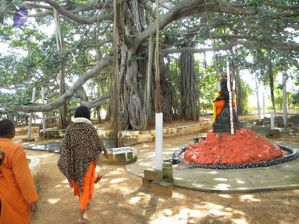 20101005_Photo_1060_DSCN4749_CMP_WM