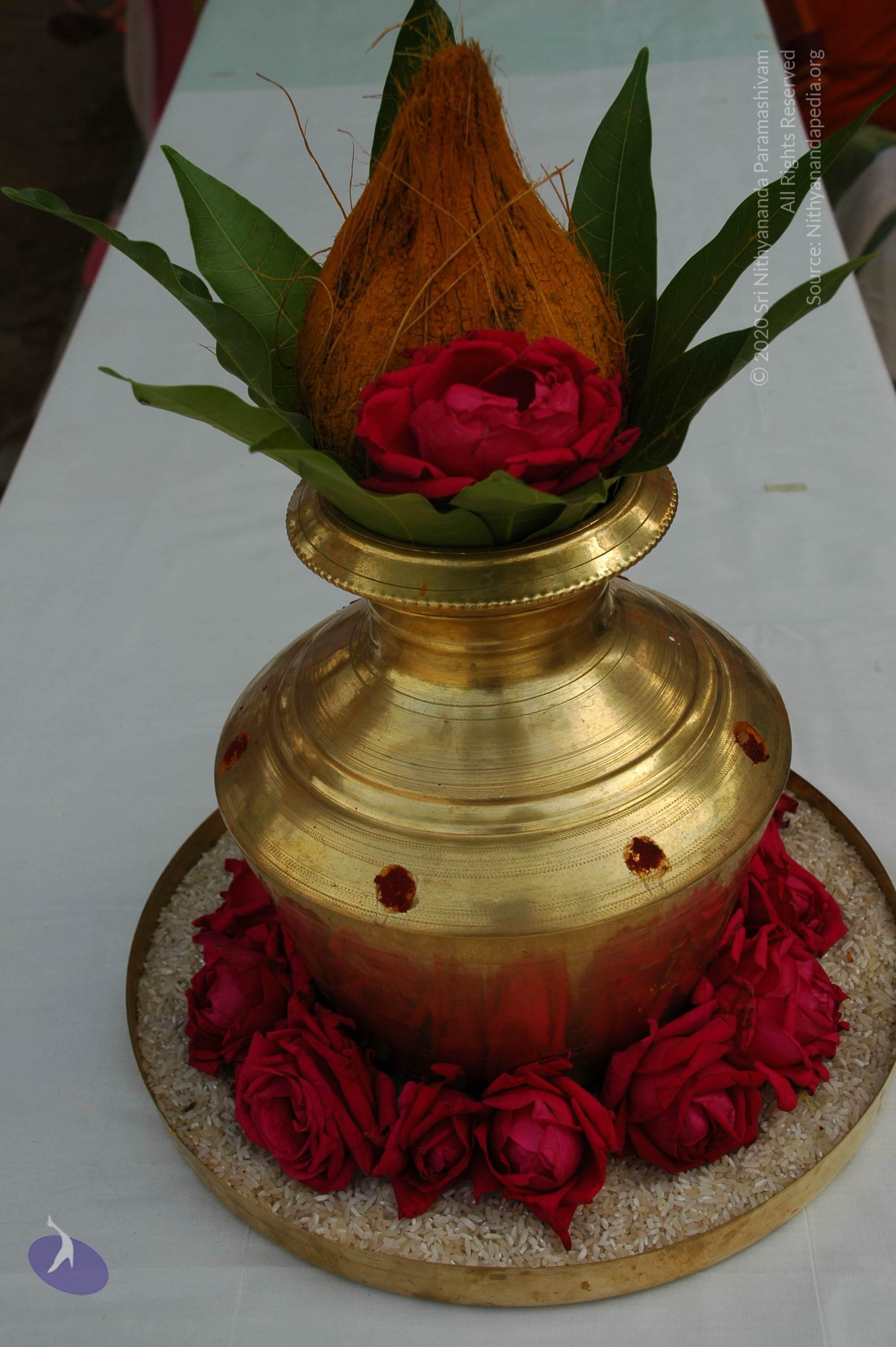 20101005_Photo_1068_DSC_7874_CMP_WM