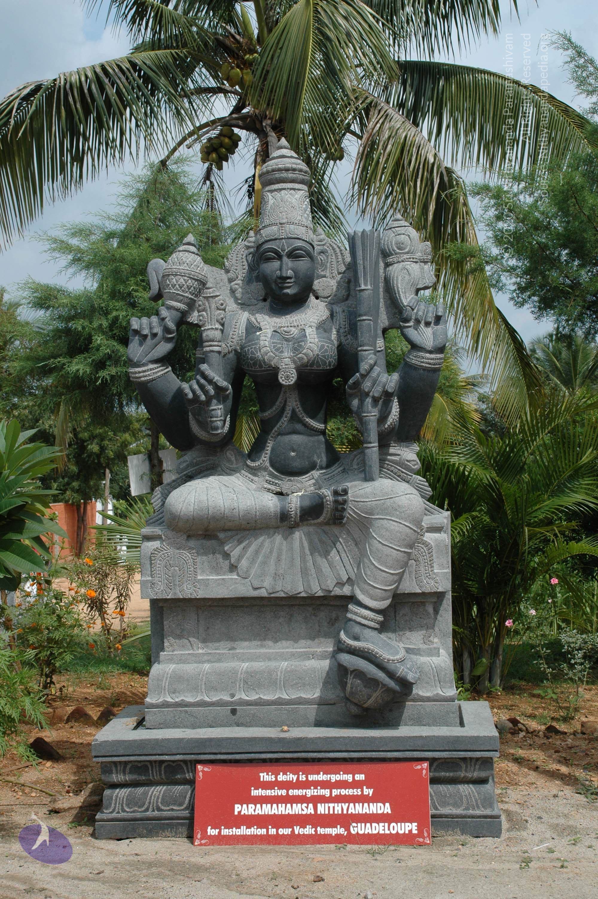 20101005_Photo_1077_DSC_7845_CMP_WM(1)