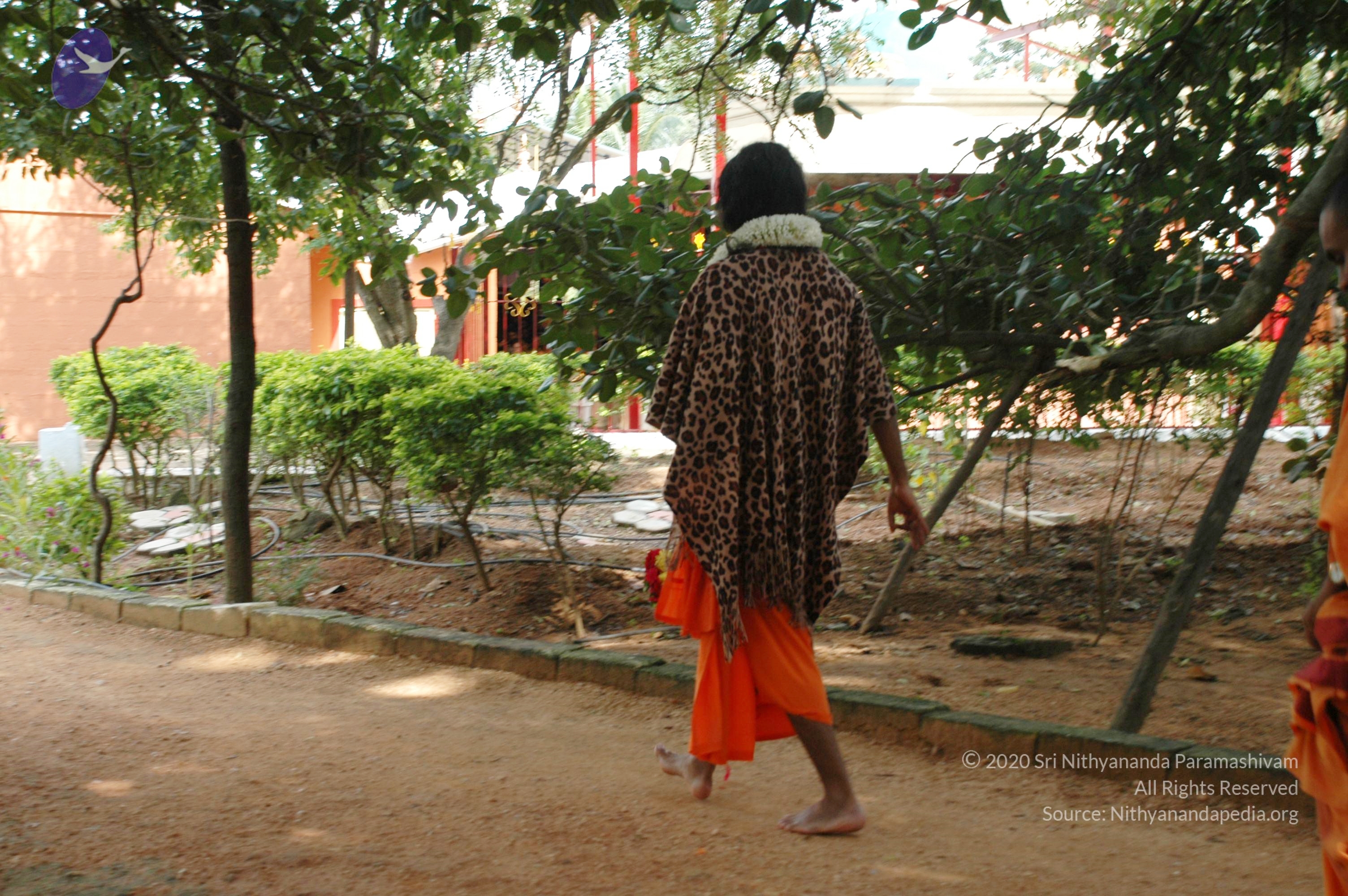 20101005_Photo_1080_DSC_7924_CMP_WM