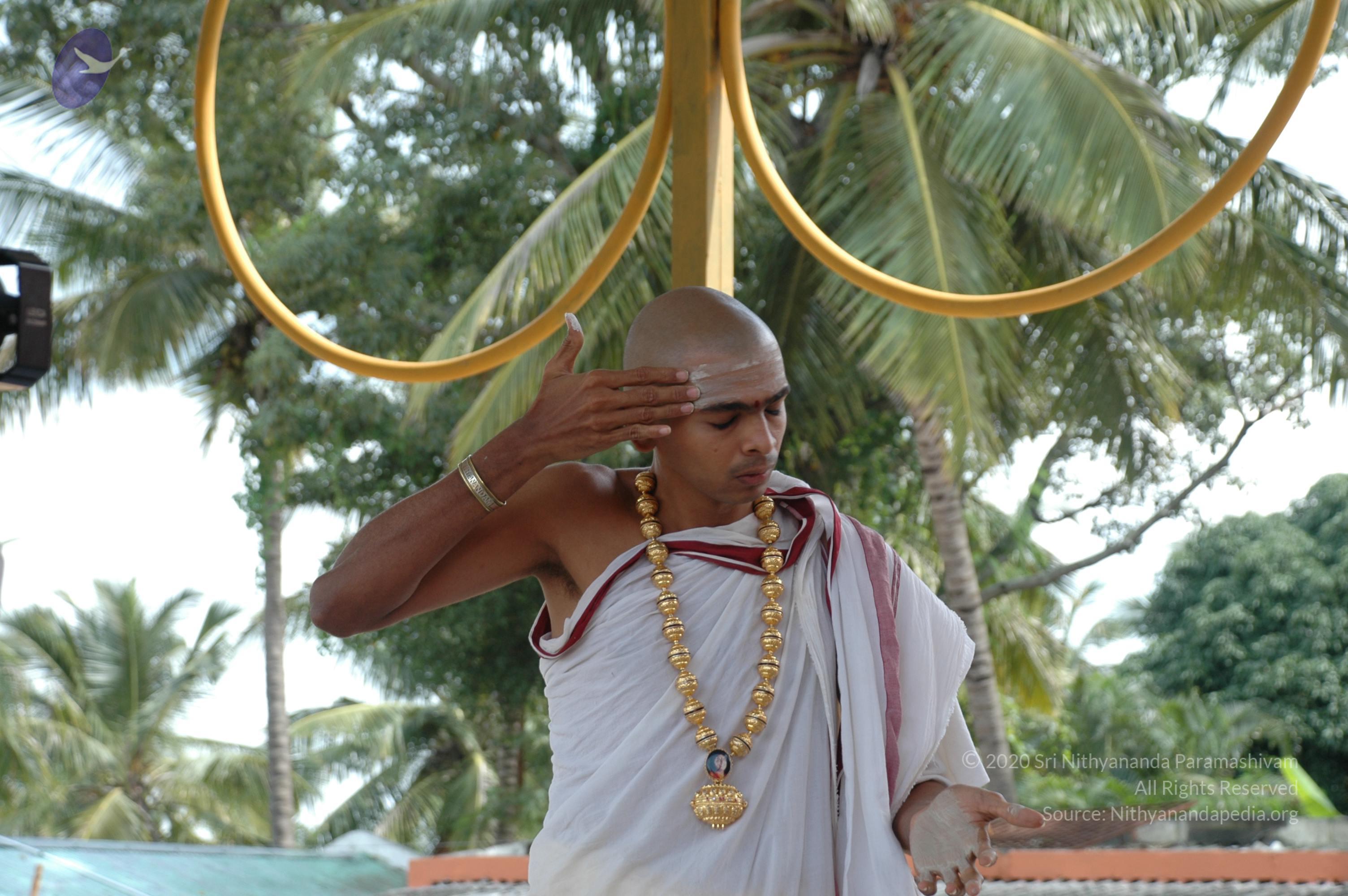 20101005_Photo_1090_DSC_7886_CMP_WM