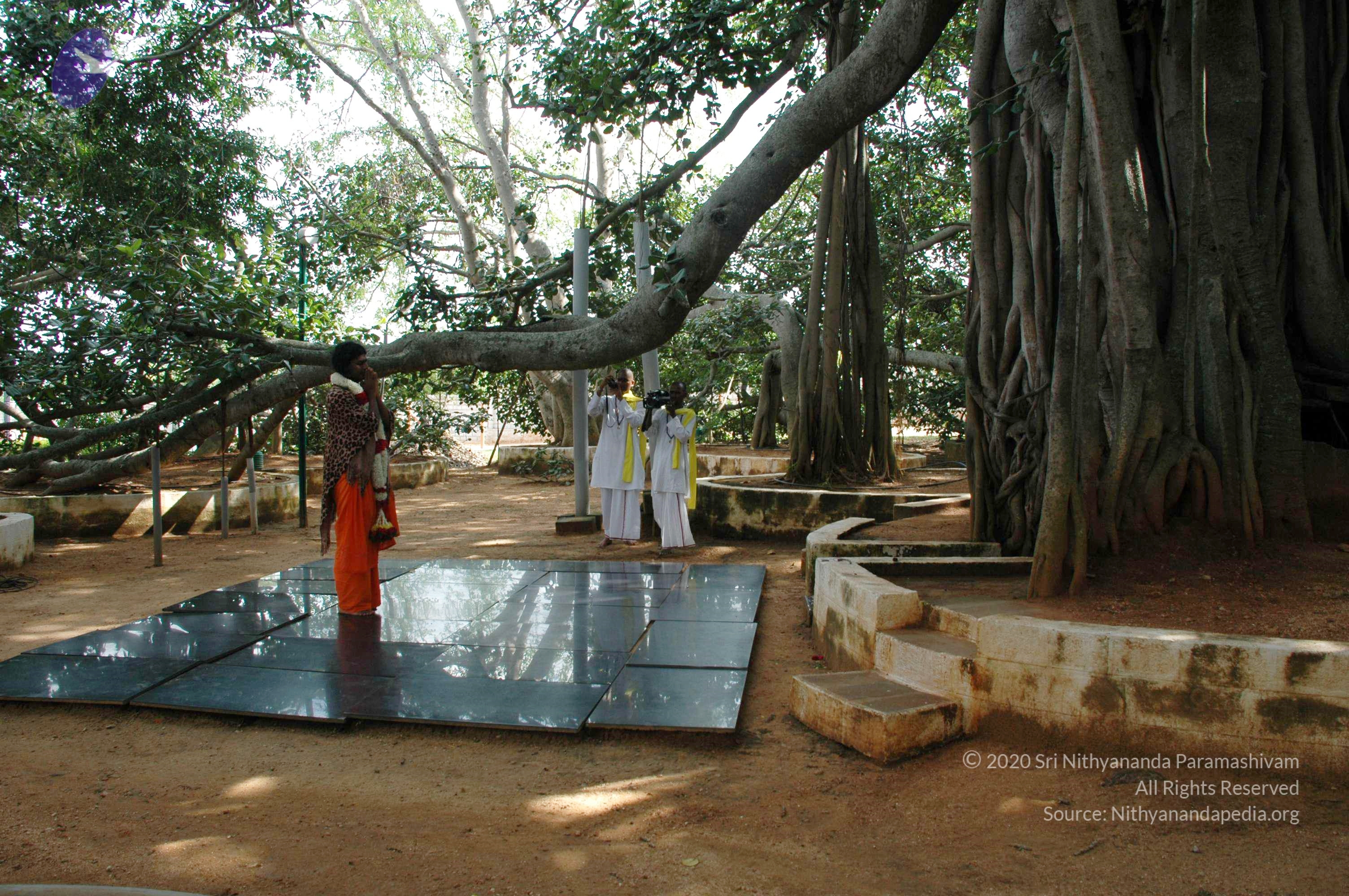 20101005_Photo_1100_DSC_7921_CMP_WM