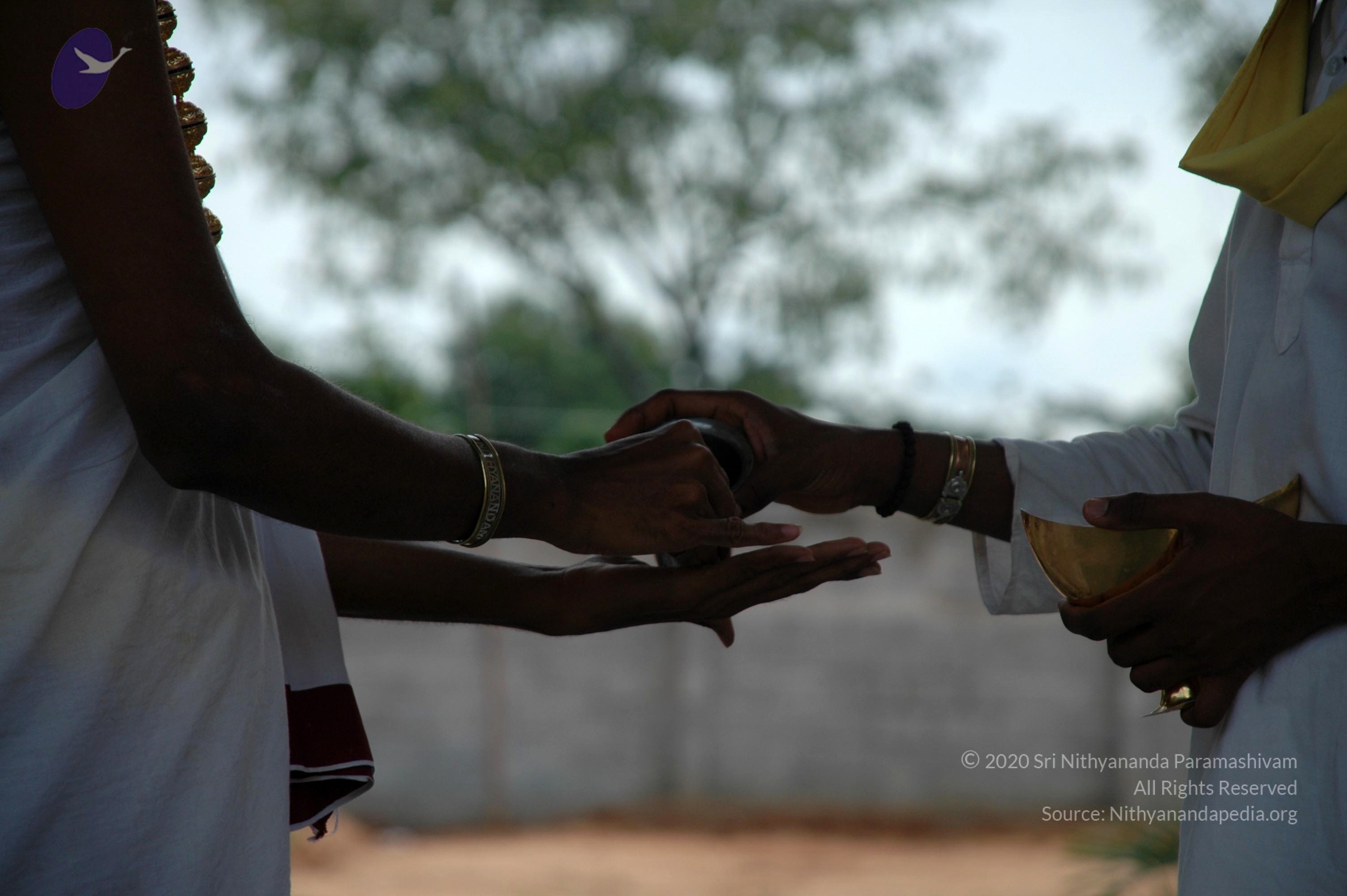 20101005_Photo_1101_DSC_7883_CMP_WM