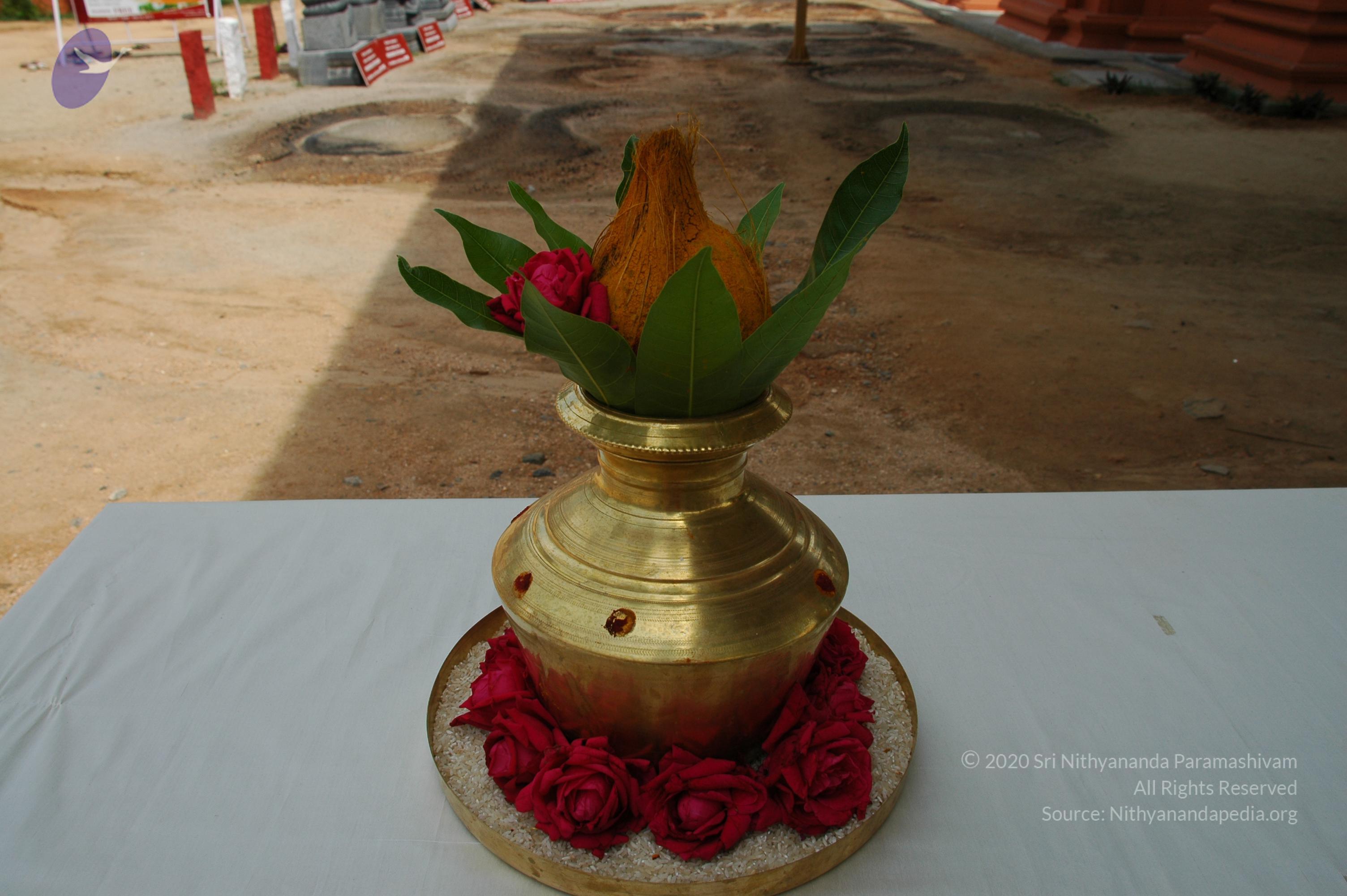 20101005_Photo_1106_DSC_7838_CMP_WM