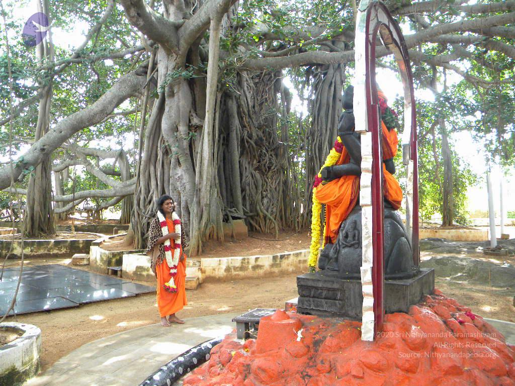 20101005_Photo_1117_DSCN4750_CMP_WM