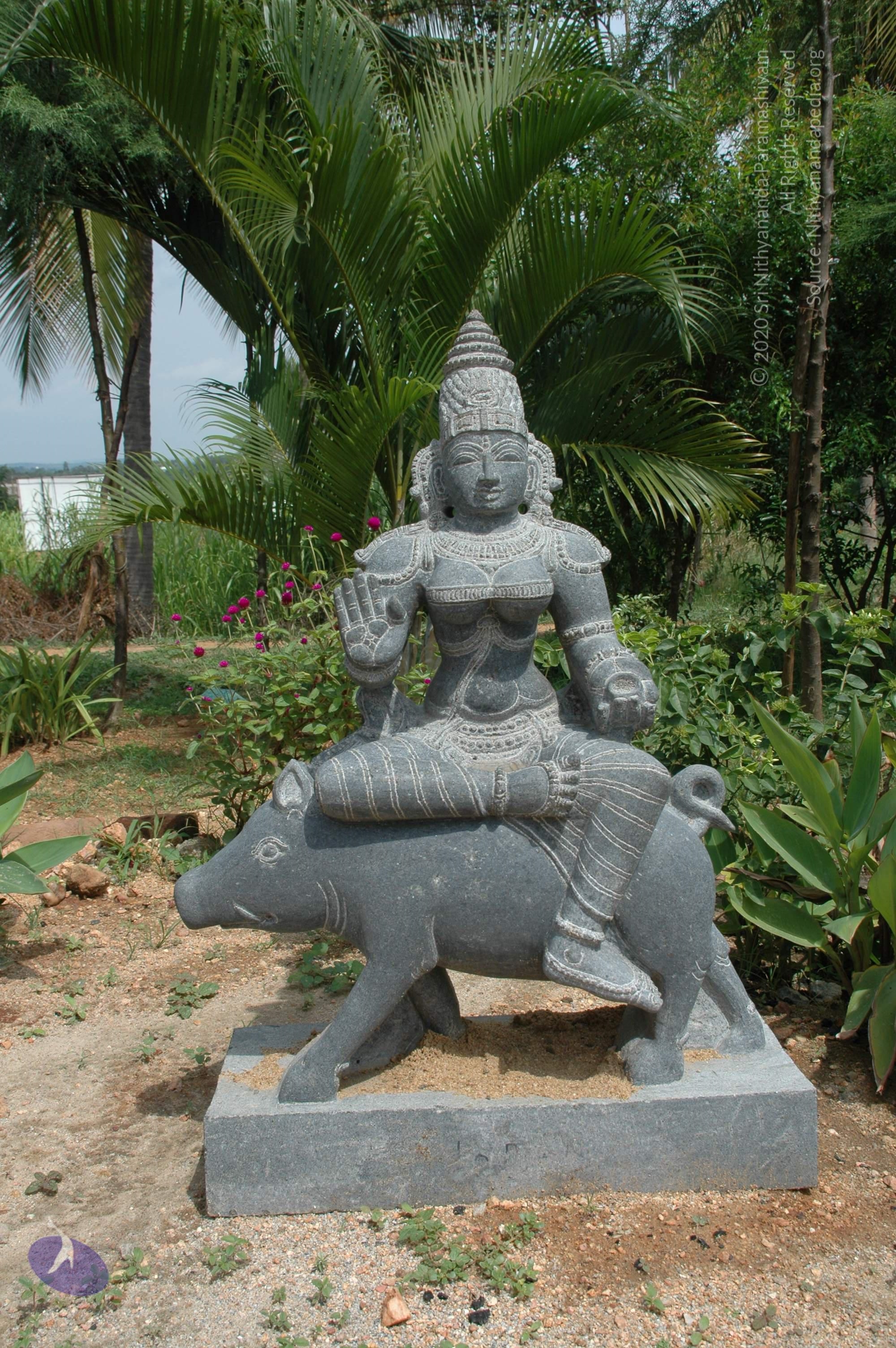 20101005_Photo_1121_DSC_7848_CMP_WM