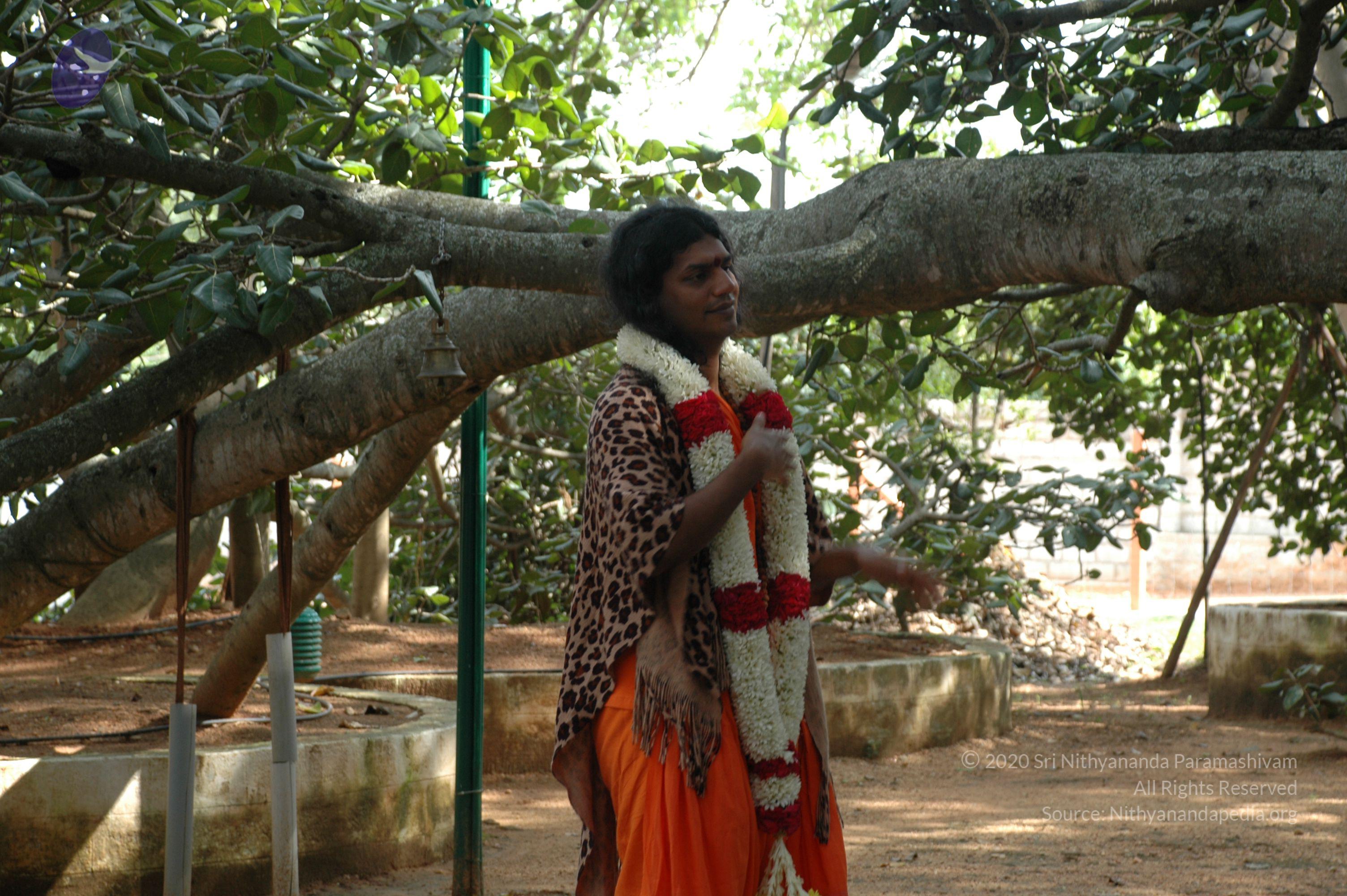 20101005_Photo_1131_DSC_7922_CMP_WM