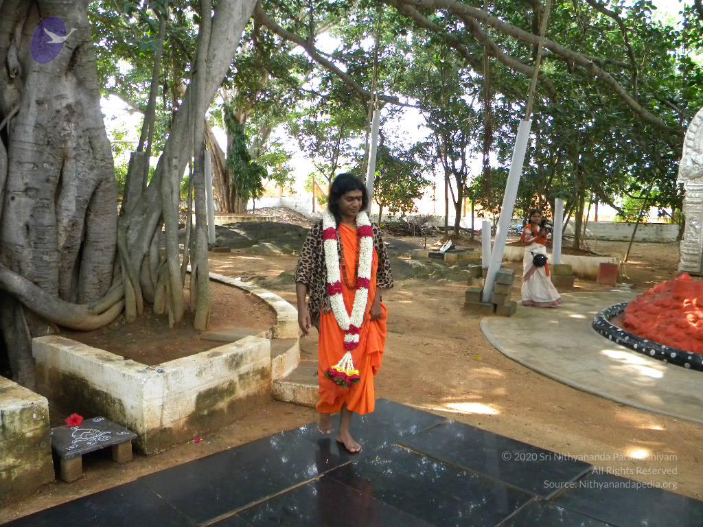 20101005_Photo_1136_DSCN4753_CMP_WM