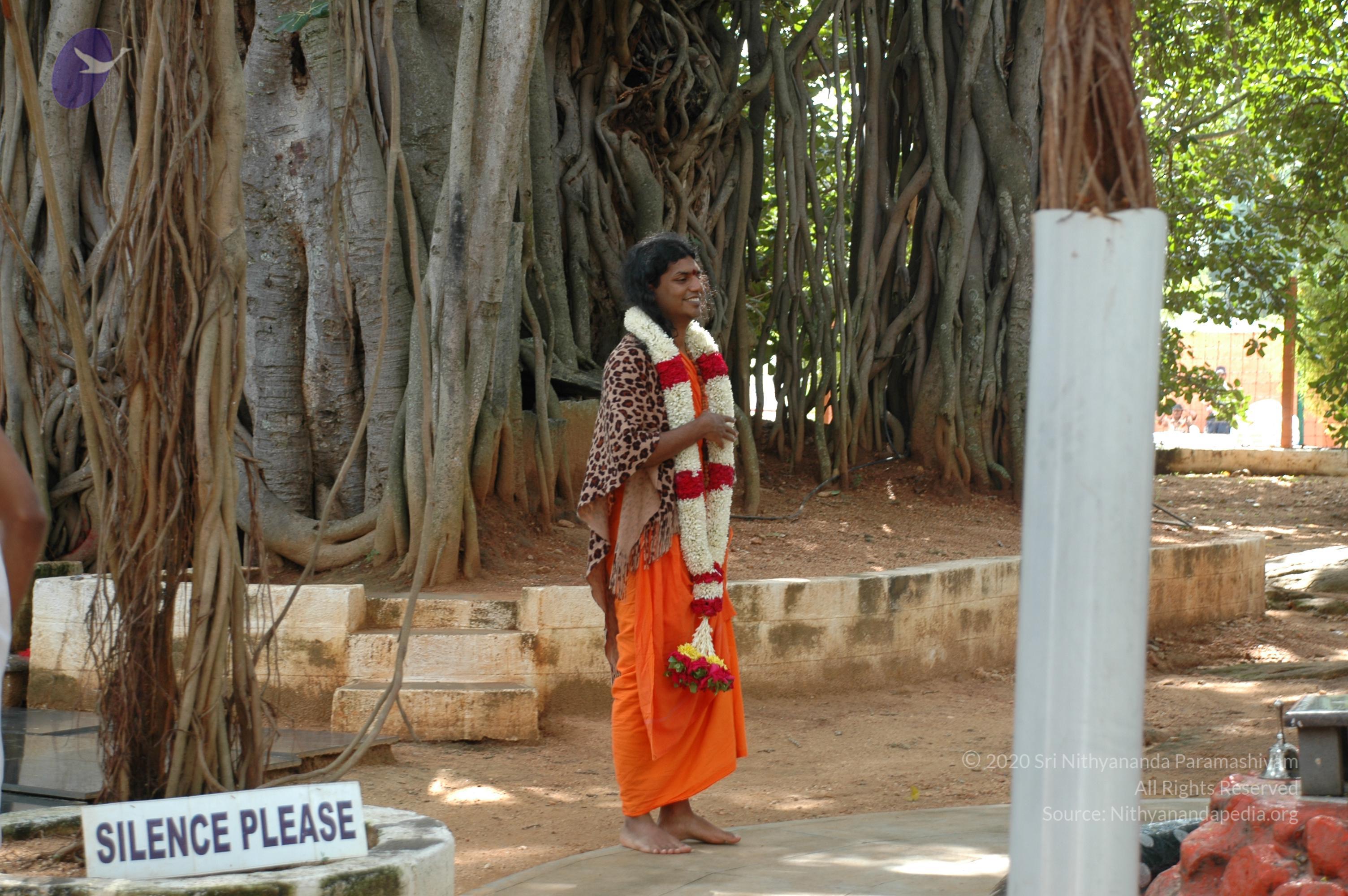 20101005_Photo_1147_DSC_7918_CMP_WM