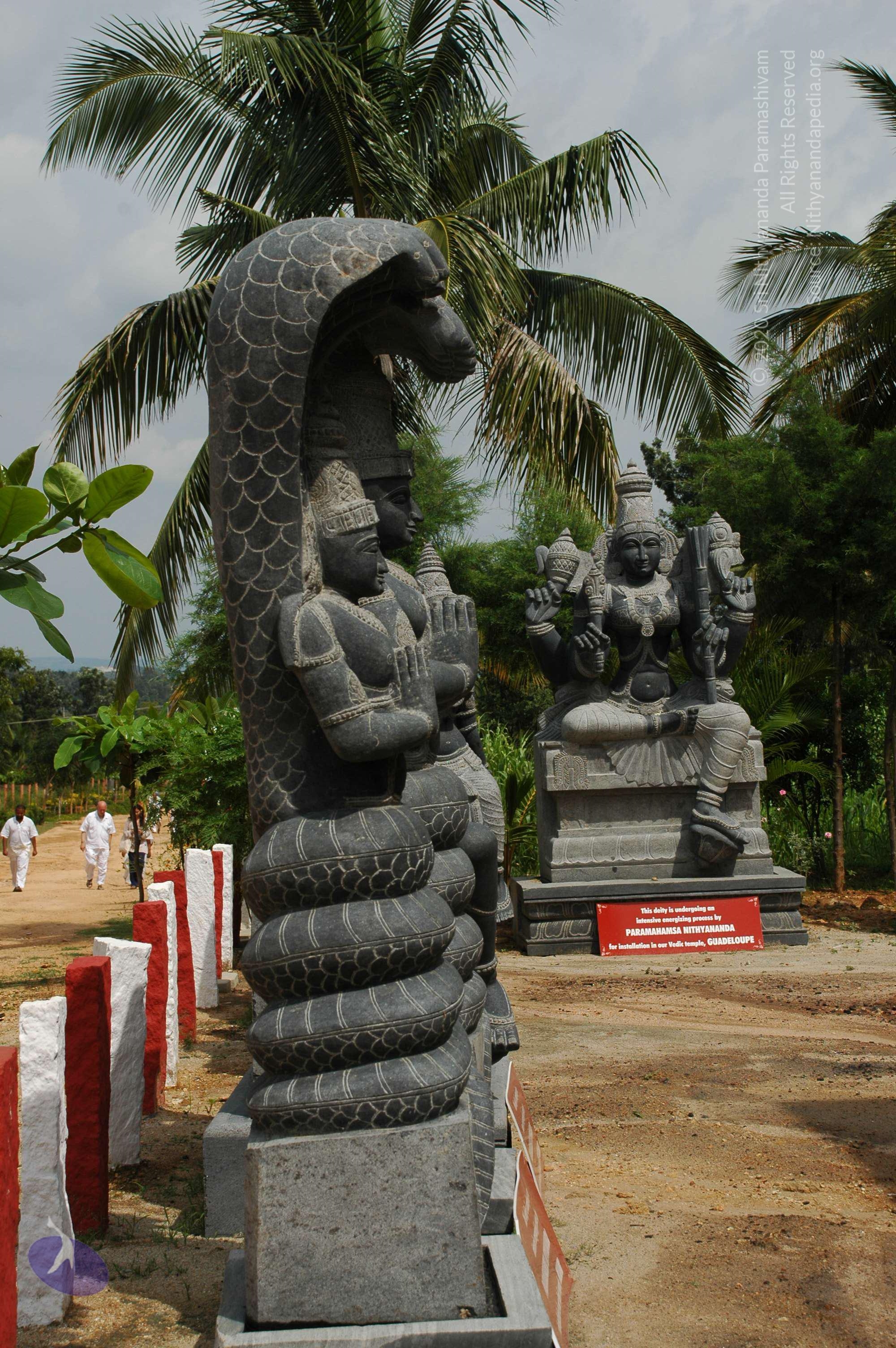 20101005_Photo_1153_DSC_7840_CMP_WM