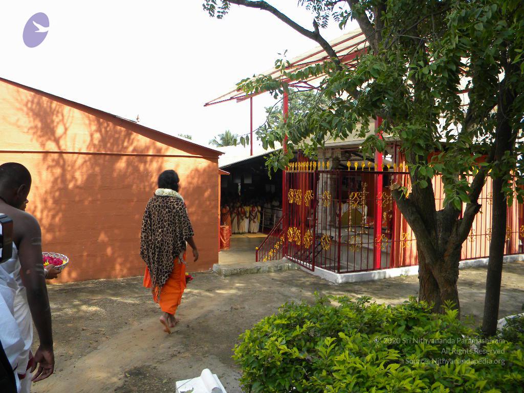 20101005_Photo_1159_DSCN4756_CMP_WM