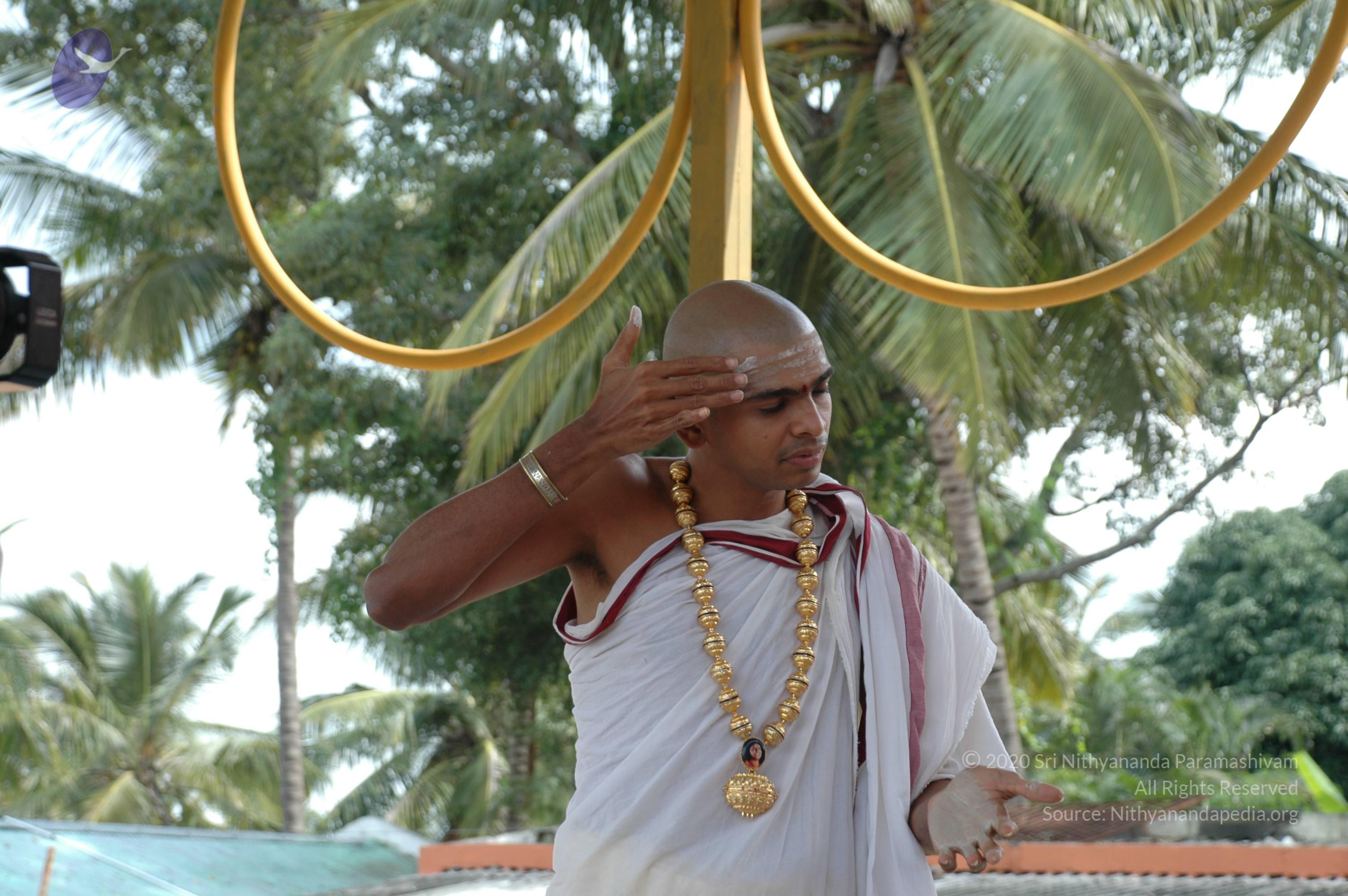 20101005_Photo_1169_DSC_7885_CMP_WM