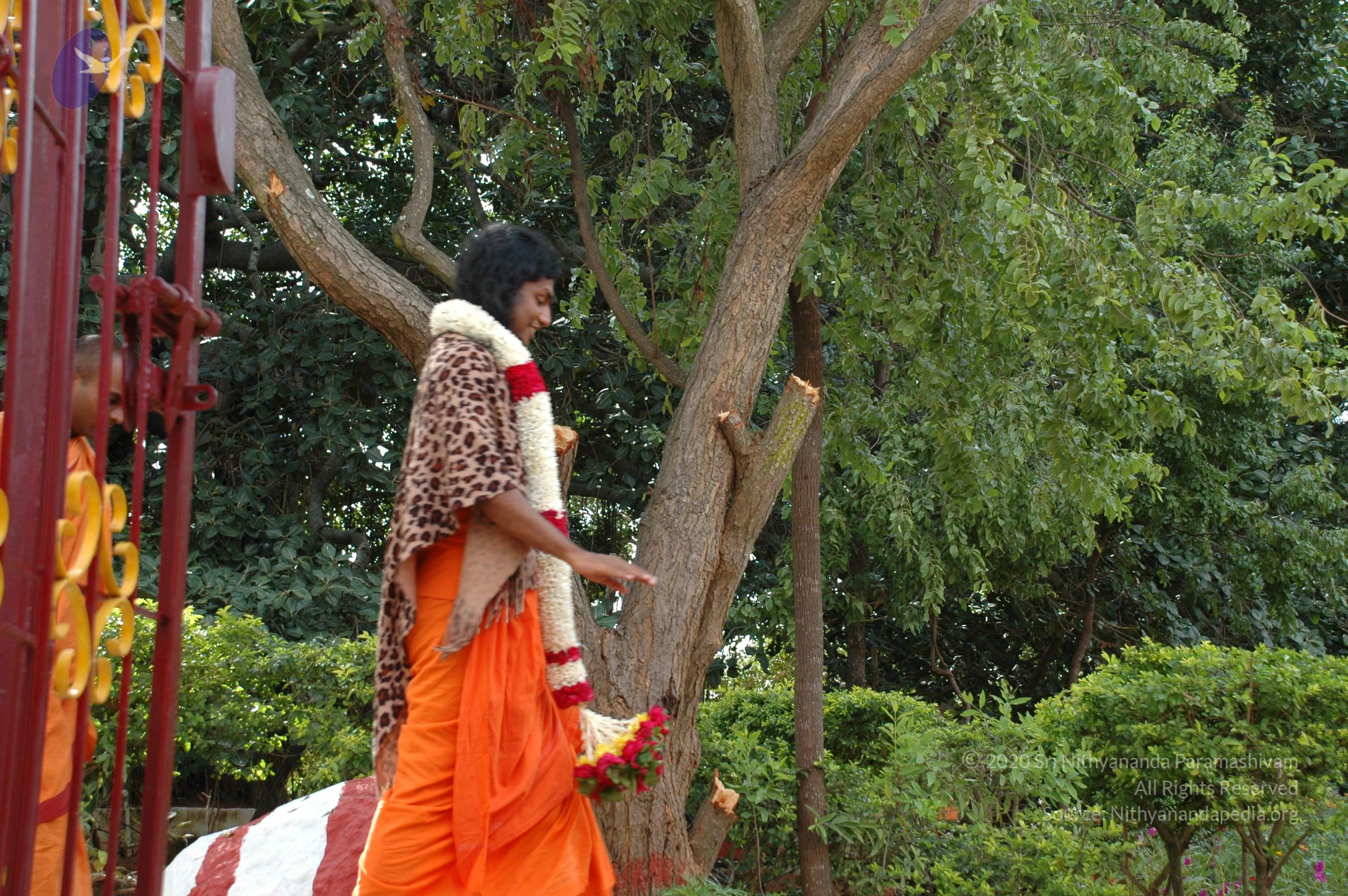 20101005_Photo_1190_DSC_7917_CMP_WM