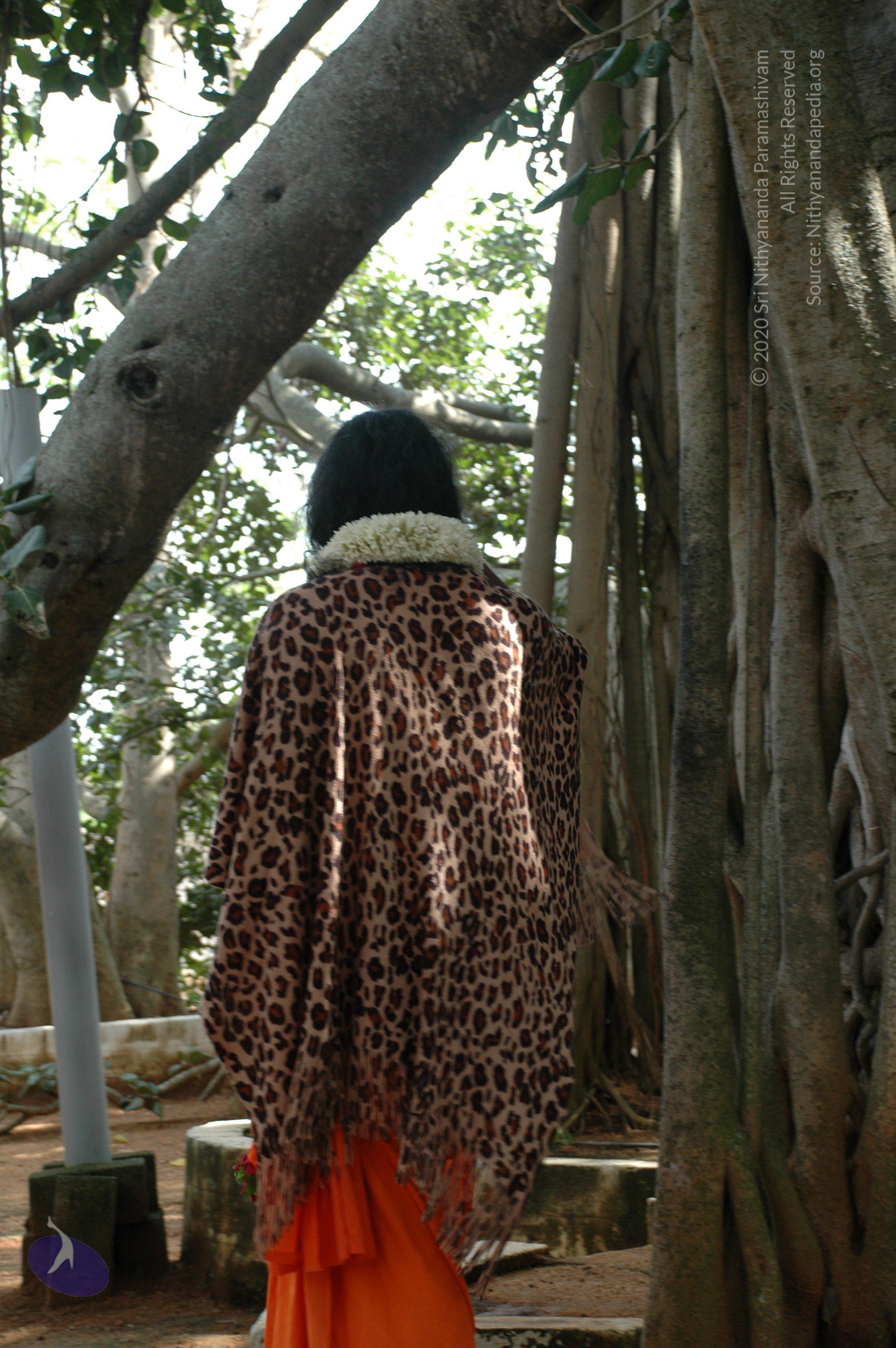 20101005_Photo_1191_DSC_7920_CMP_WM