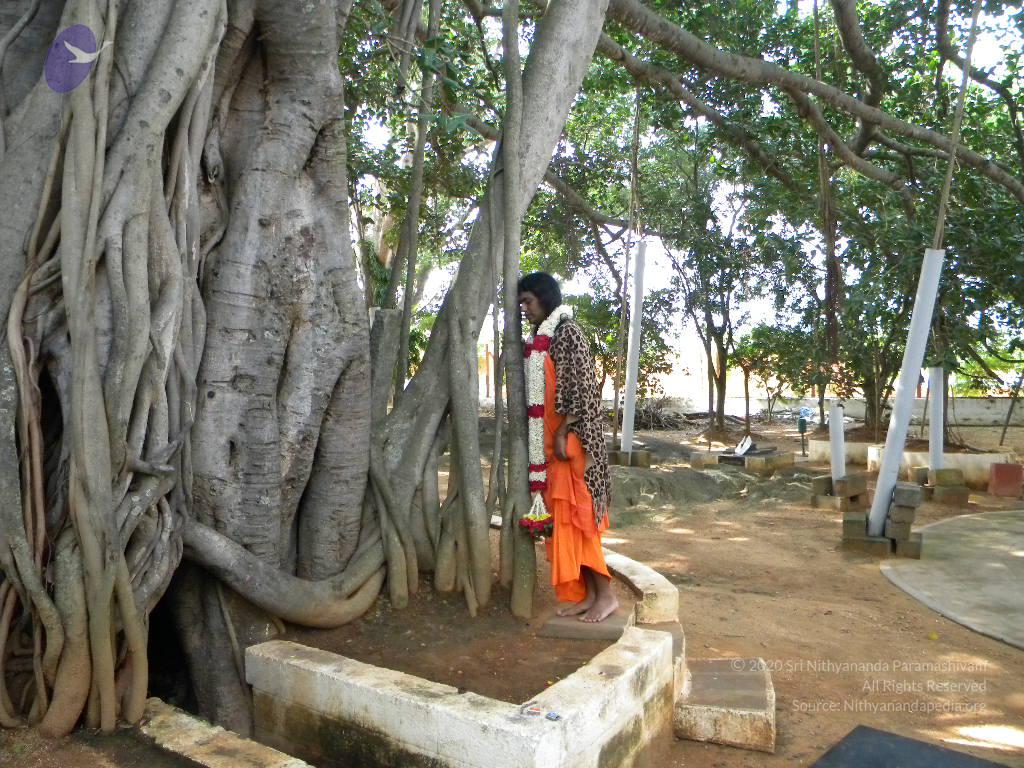 20101005_Photo_1204_DSCN4751_CMP_WM