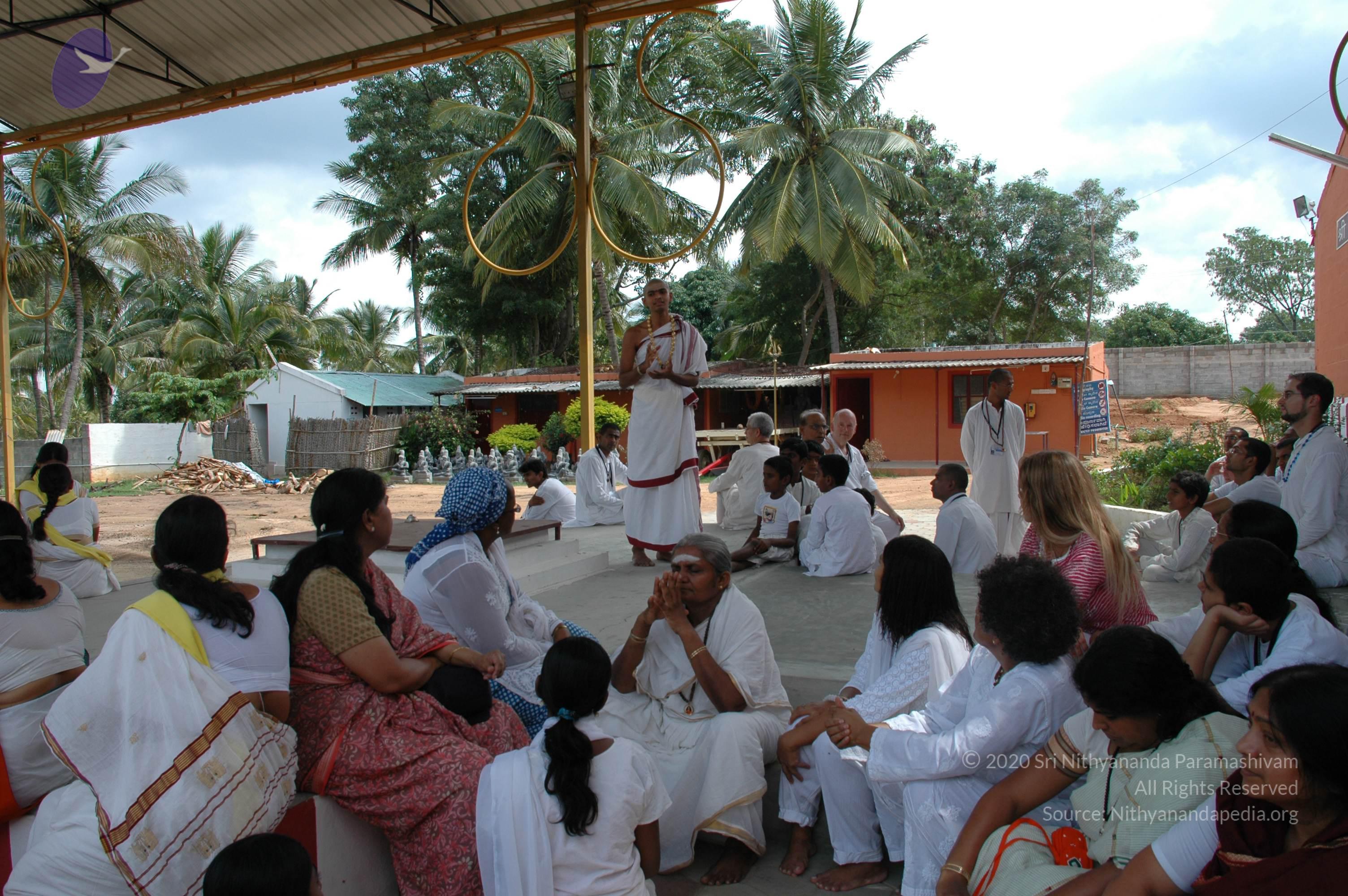 20101005_Photo_1211_DSC_7870_CMP_WM