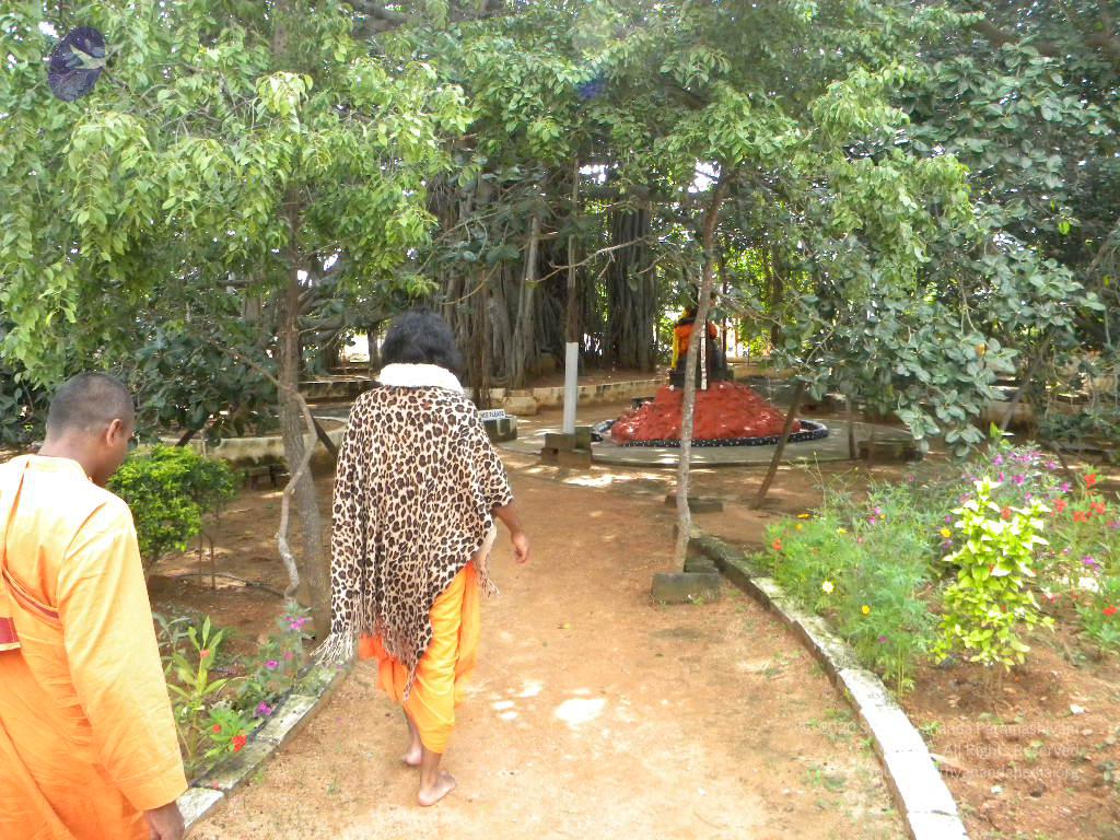 20101005_Photo_1216_DSCN4748_CMP_WM