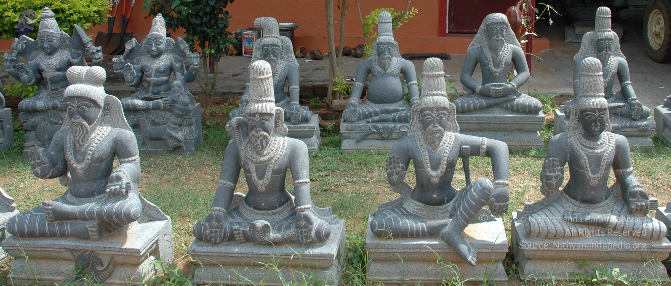 20101005_Photo_1234_DSC_7853_CMP_WM