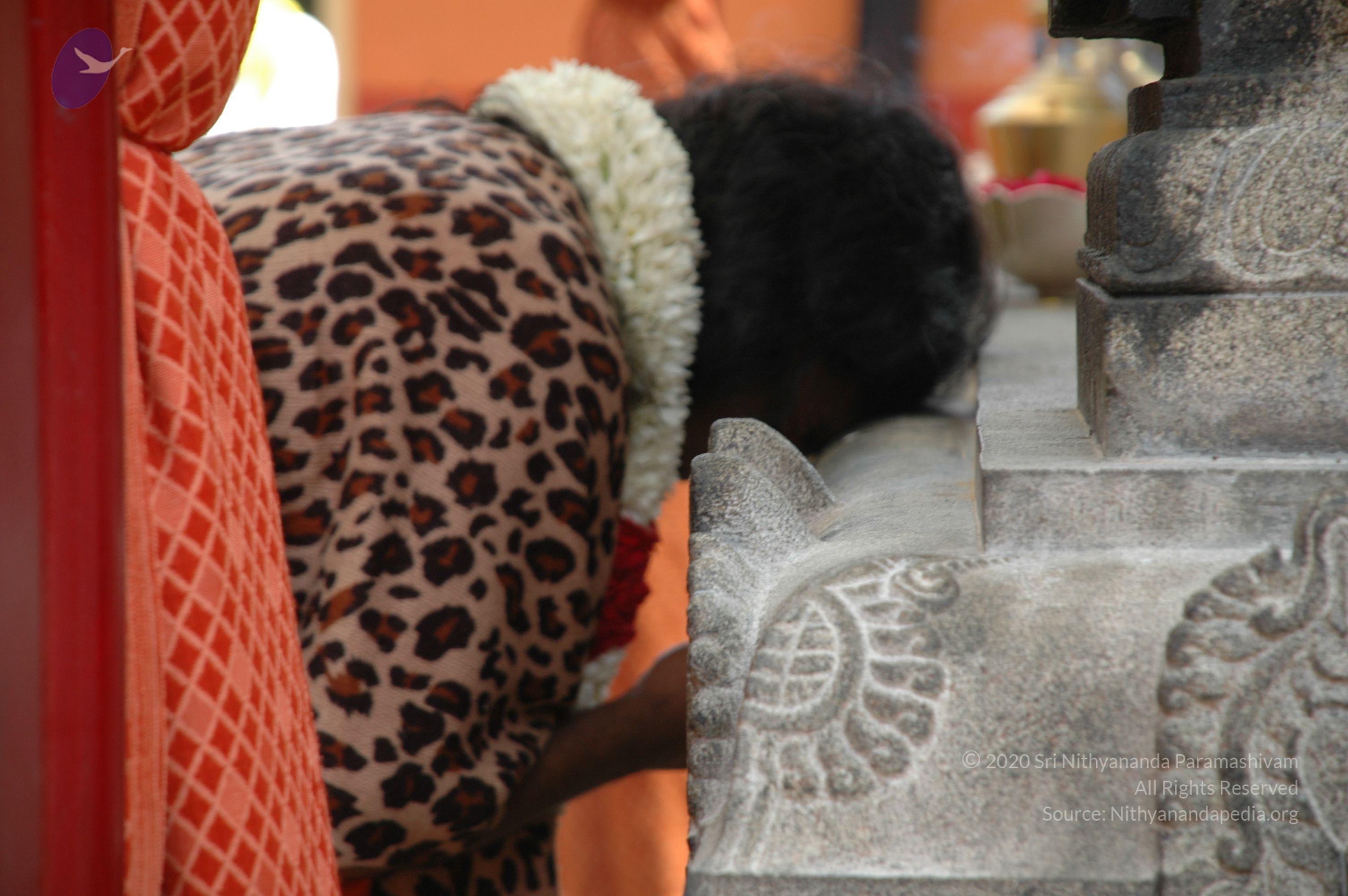 20101005_Photo_1235_DSC_7925_CMP_WM