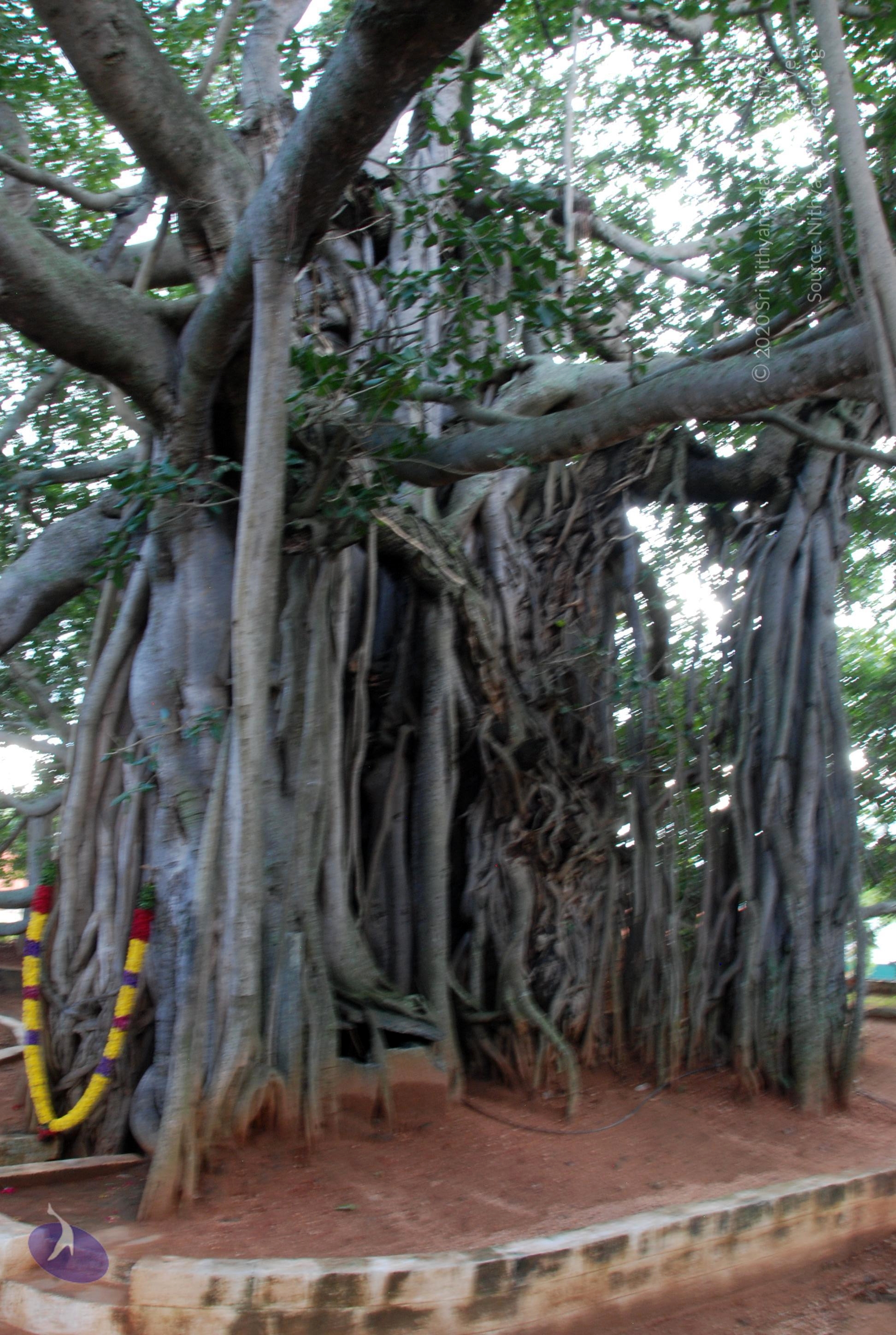 20101005_Photo_1002_DSC_7407_CMP_WM