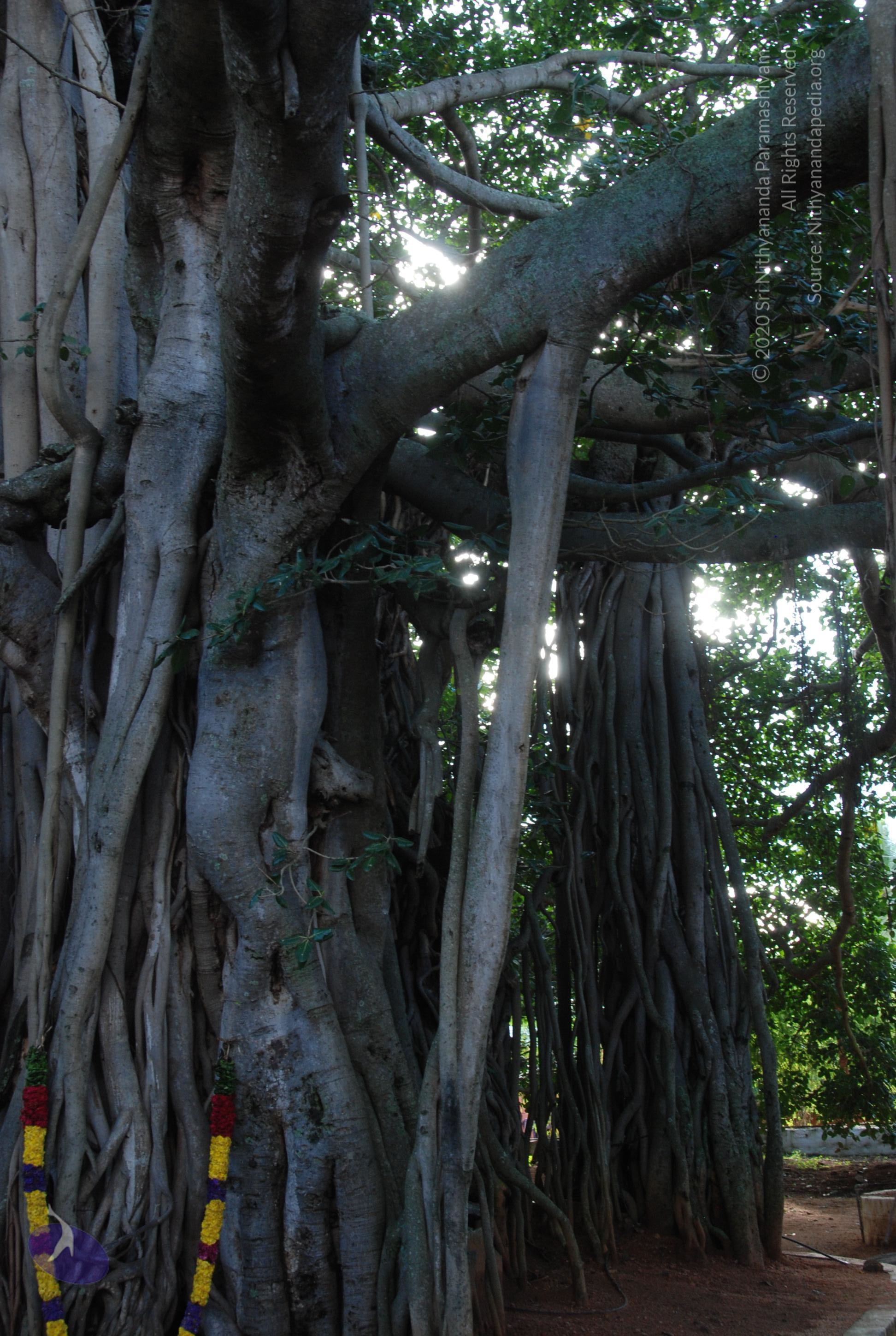 20101005_Photo_1004_DSC_7330_CMP_WM