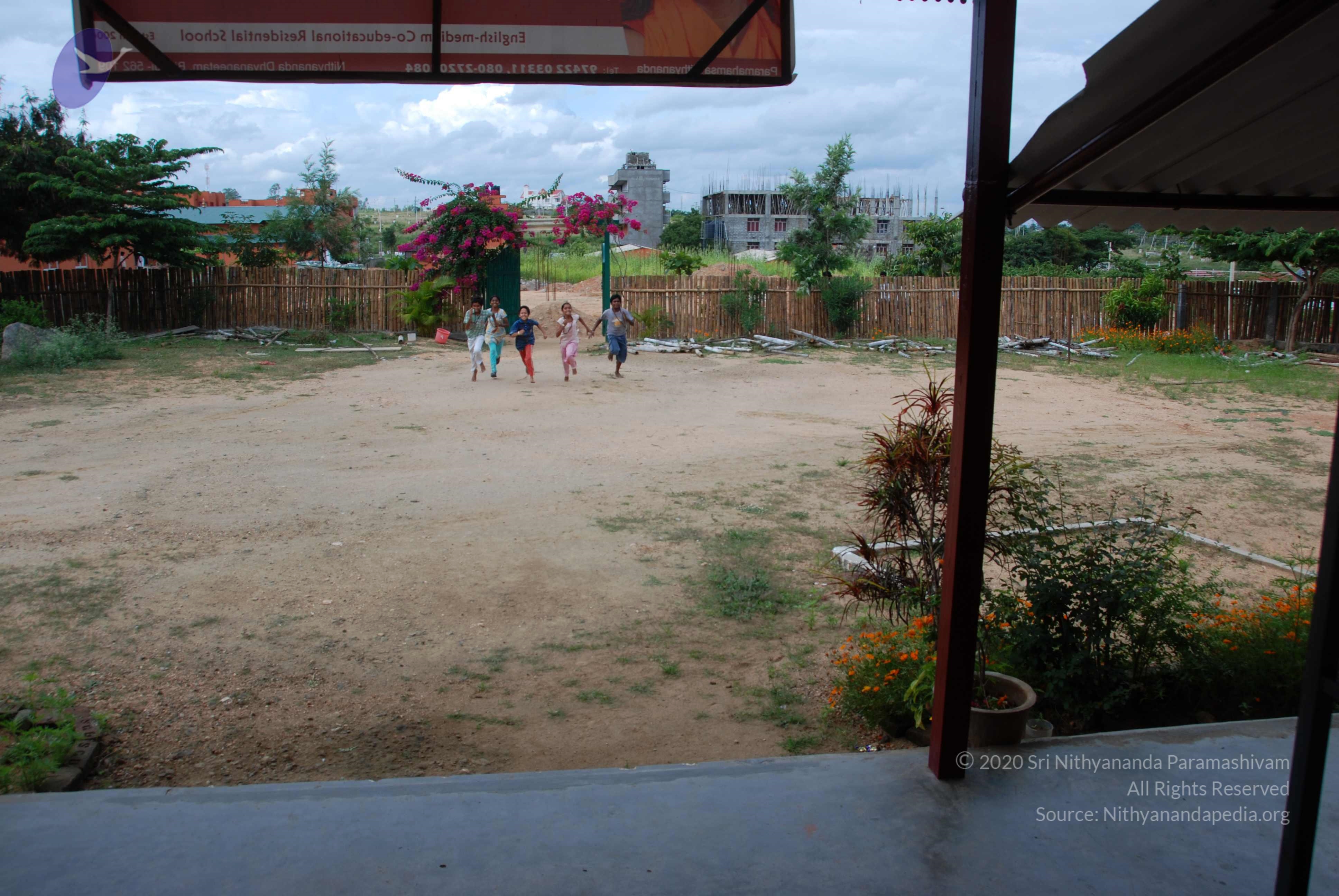 20101005_Photo_1006_DSC_6956_CMP_WM