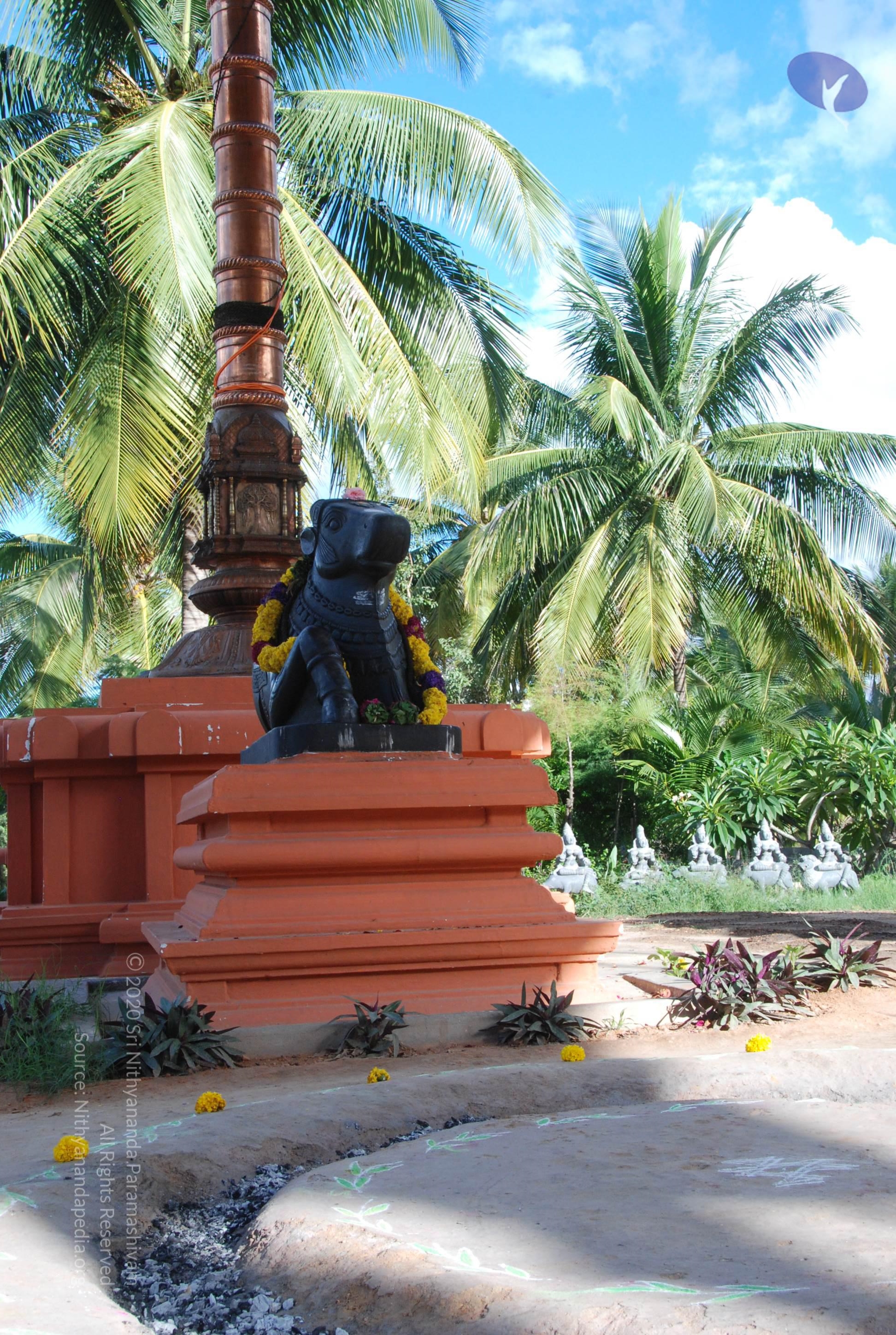 20101005_Photo_1010_DSC_7292_CMP_WM